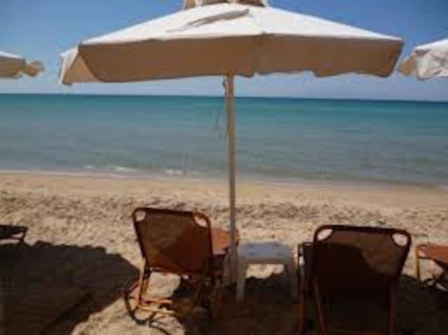 Konstantinos Apartmend Chalkidiki