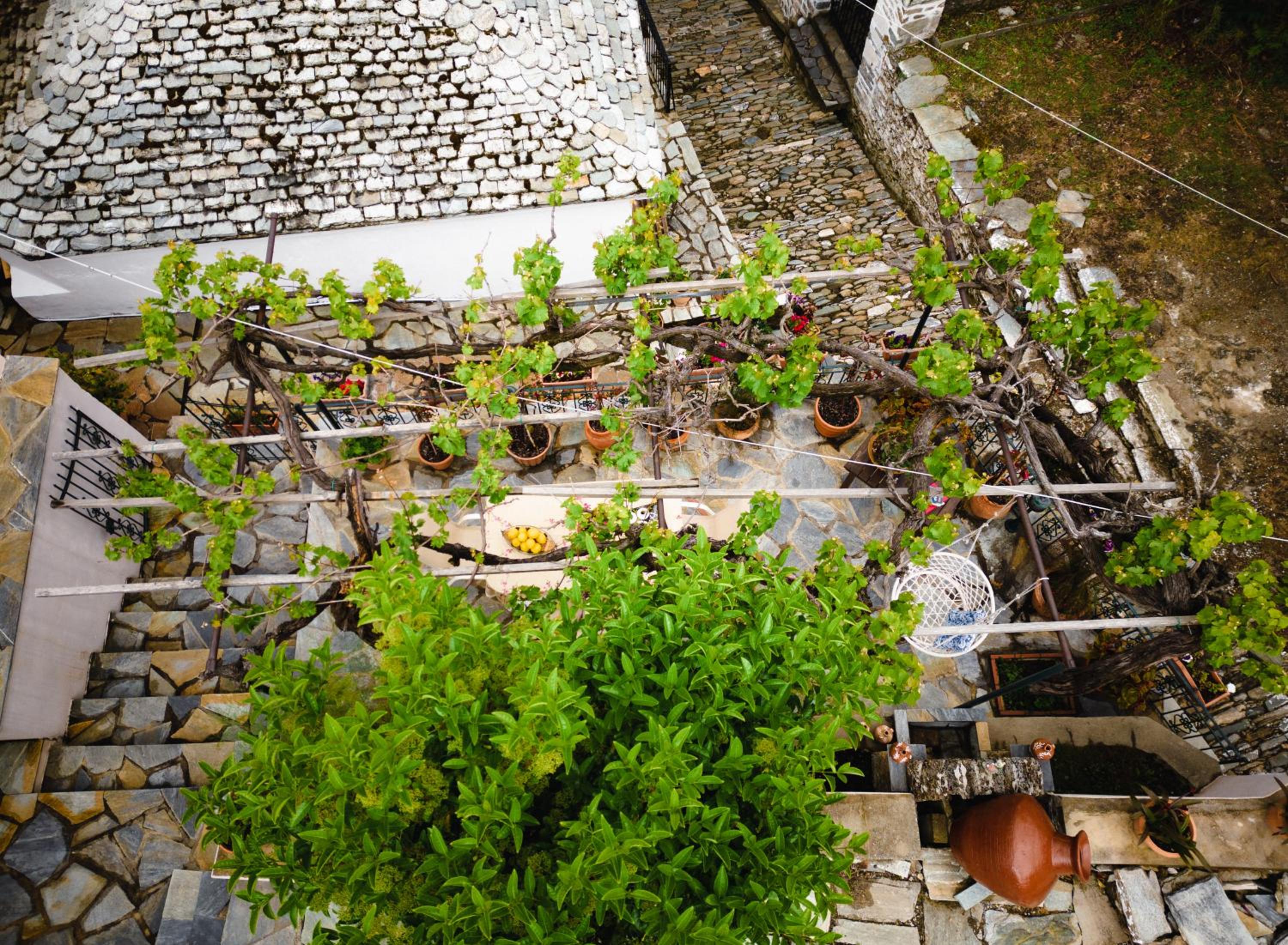 Photo 14