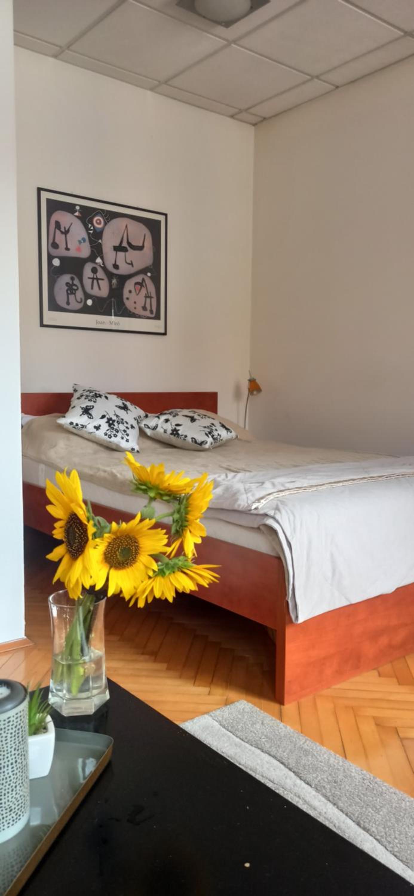 "Knez " Belgrade city center Apartment view 3