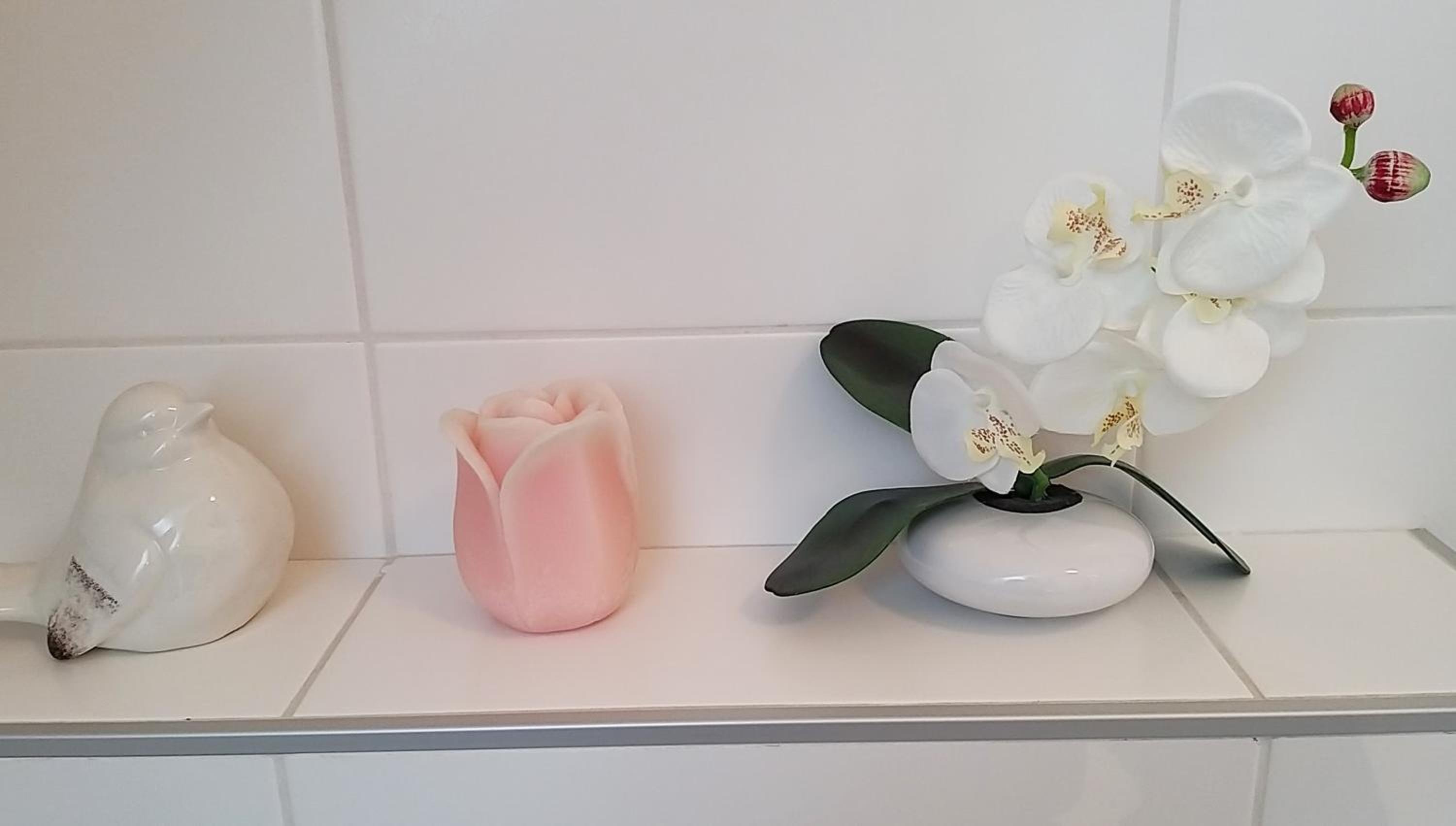 Apartmán AURIS