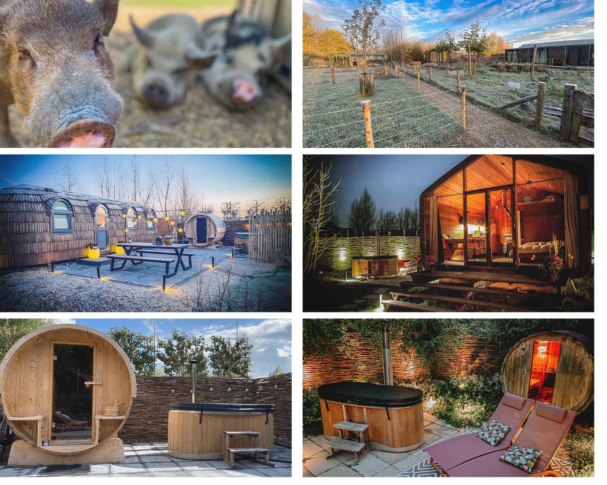 Bed & Wellness Pigs and Pillows with private hottub and sauna and tandembike rental included in price near Amsterdam