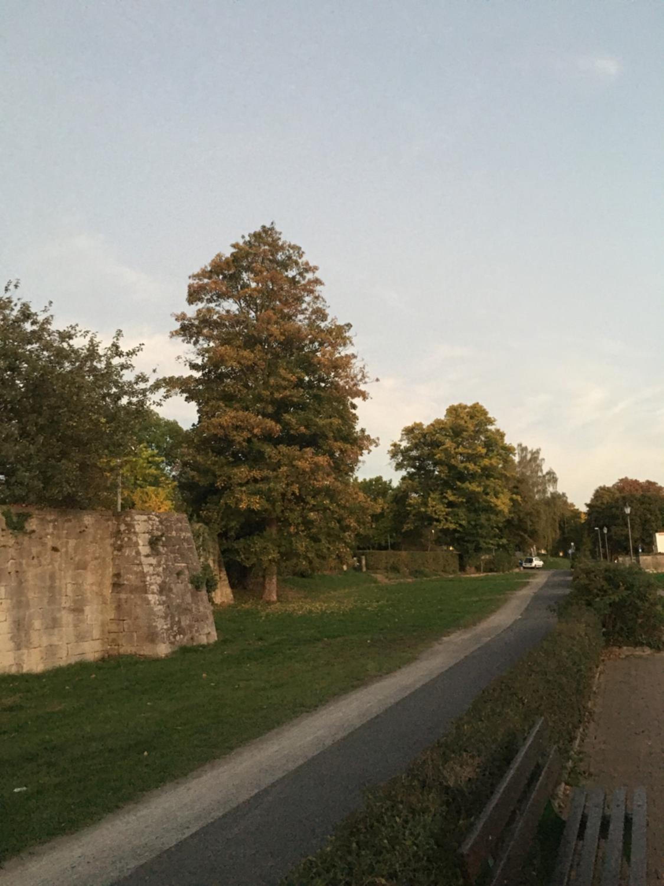 Mittelalterliches Fachwerkhaus am Diebesturm - klimatisiert-