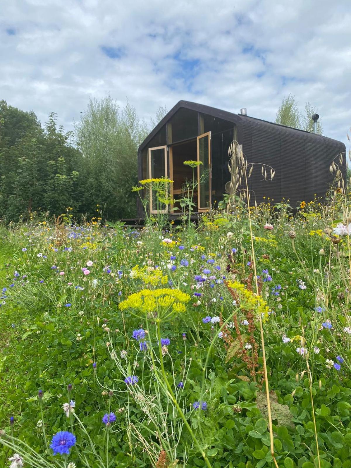 Bed & Wellness Pigs and Pillows with private hottub and sauna and tandembike rental included in price near Amsterdam