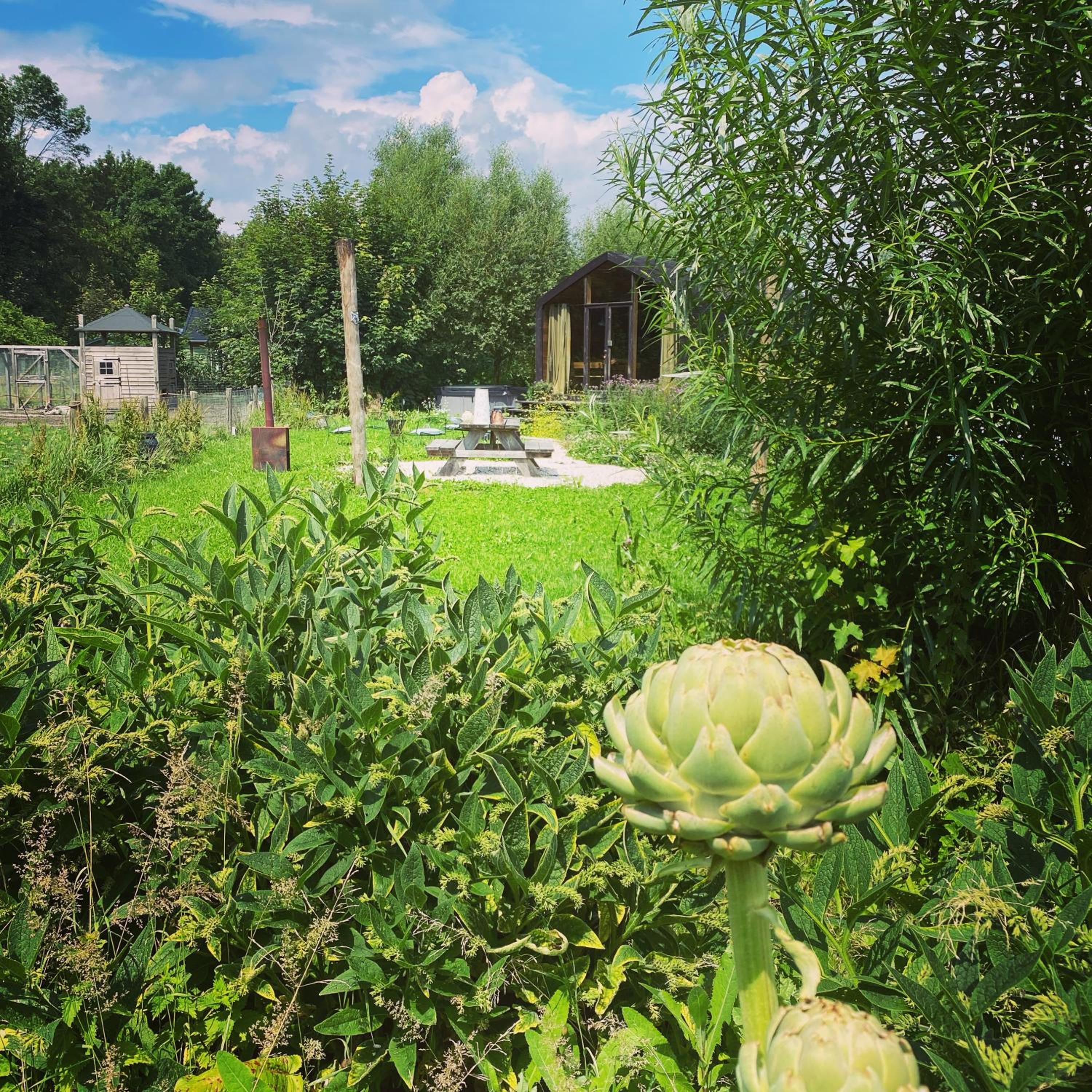 Bed & Wellness Pigs and Pillows with private hottub and sauna and tandembike rental included in price near Amsterdam