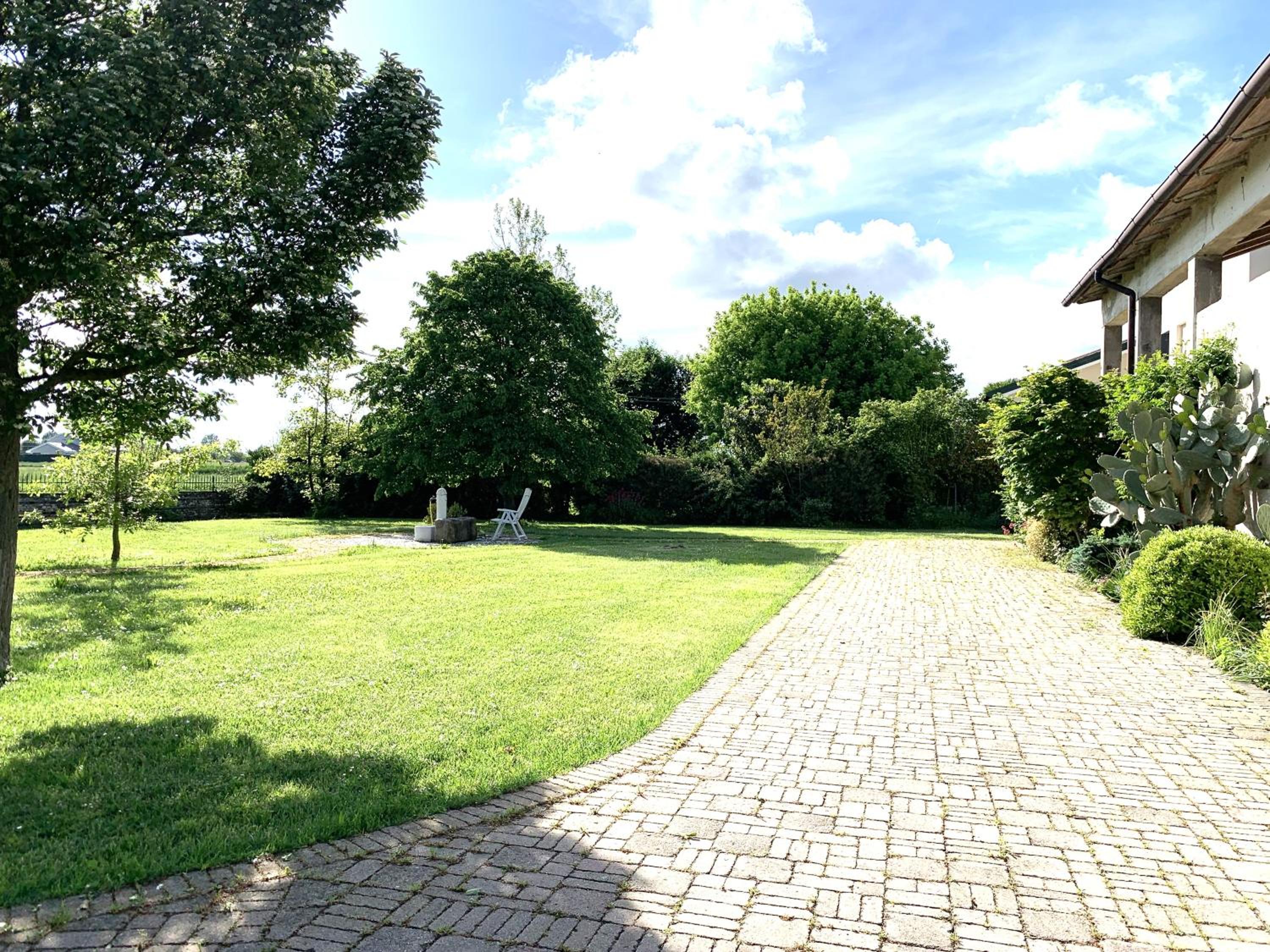 Francypi Home view 5