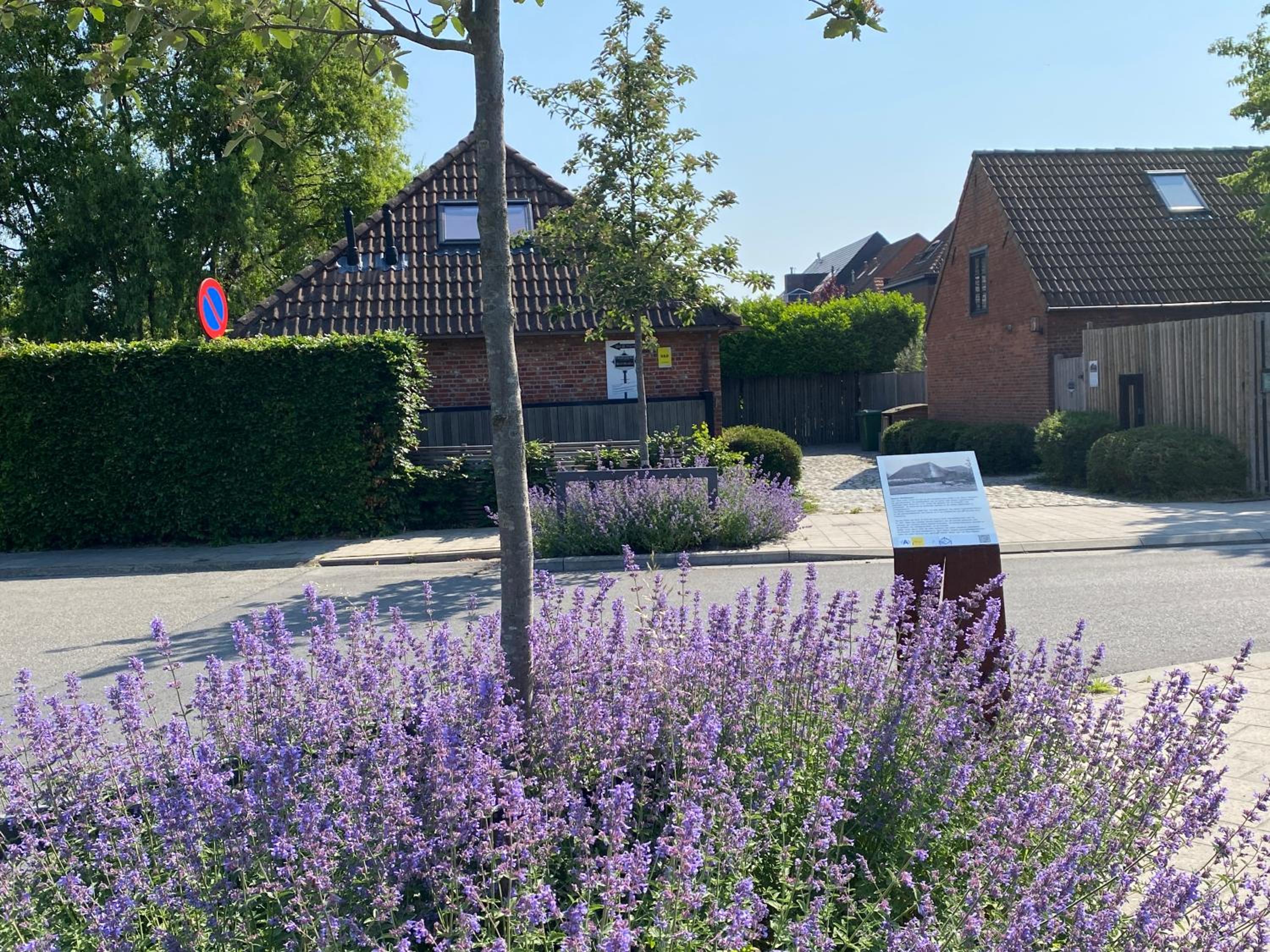 B&B Sint-Mariaburg