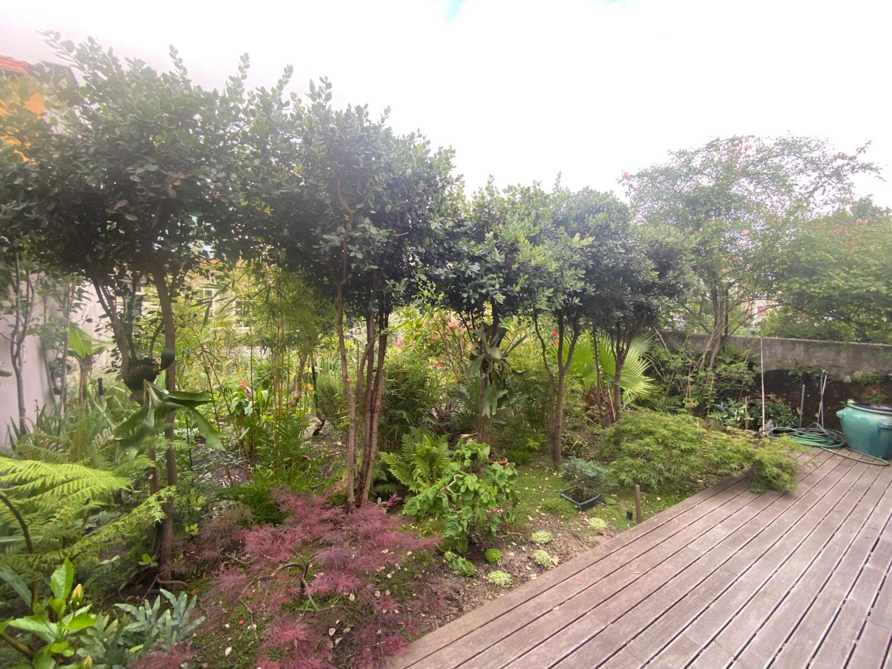 Koko Garden Apartment
