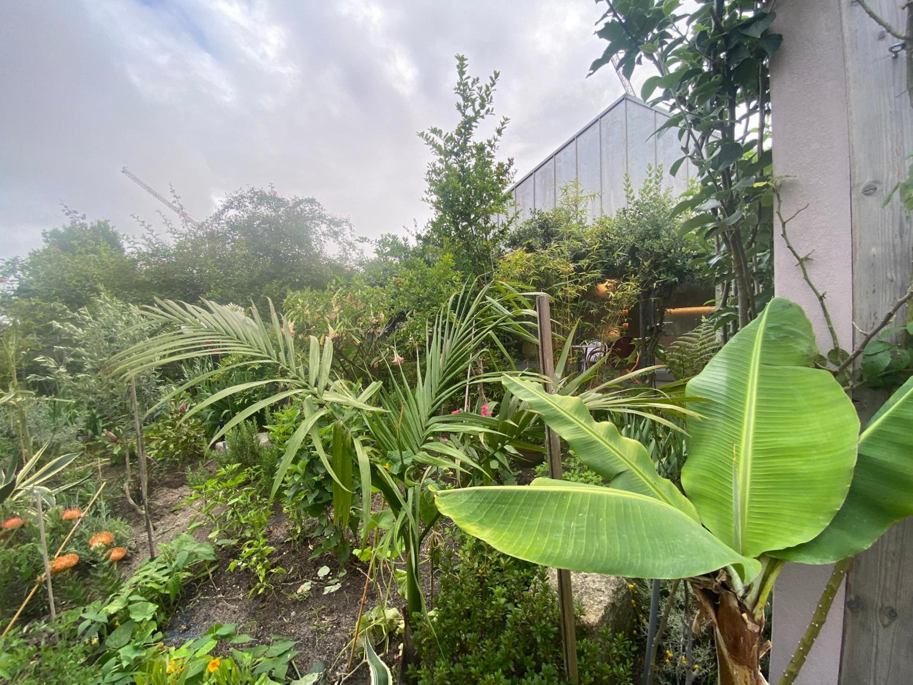 Koko Garden Apartment