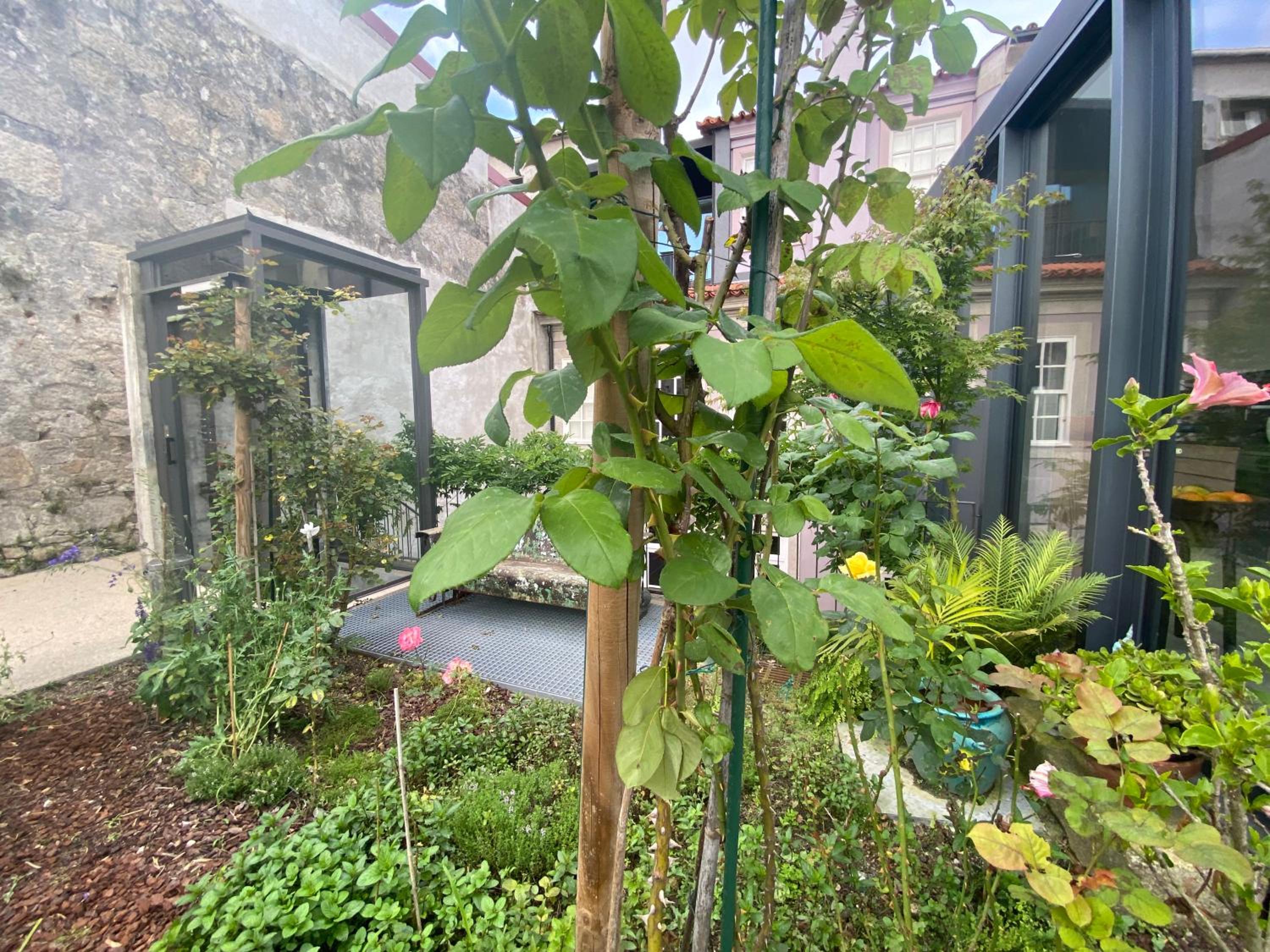 Koko Garden Apartment