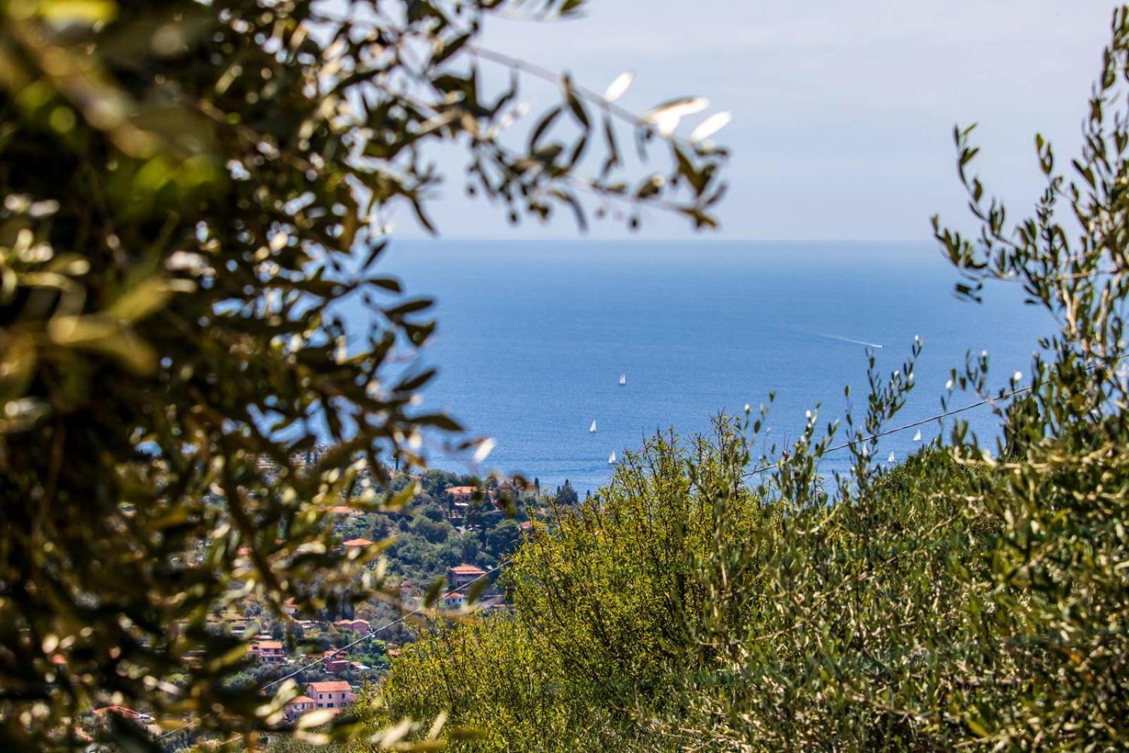 Le Navi In Cielo photo 3