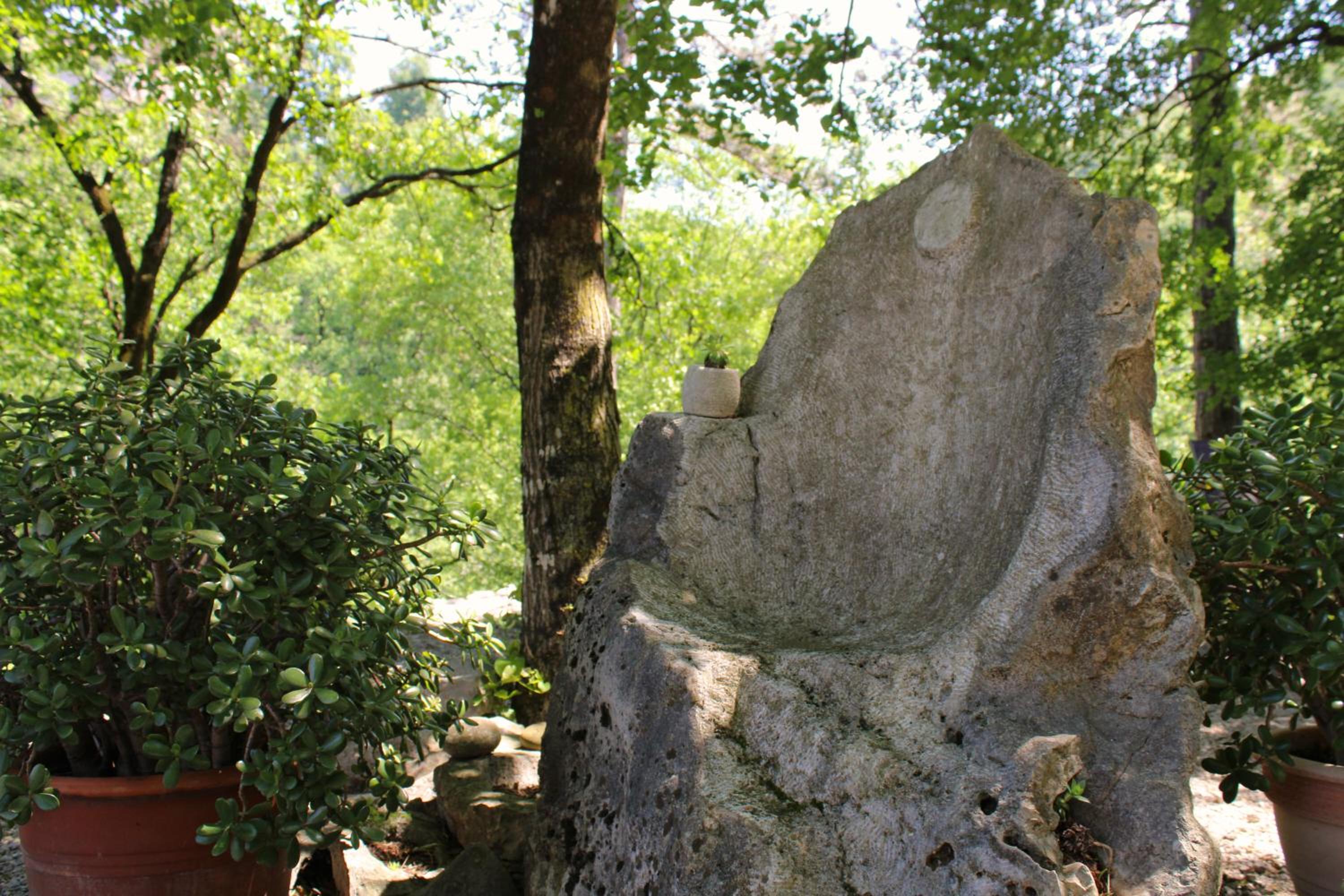 Photo 22