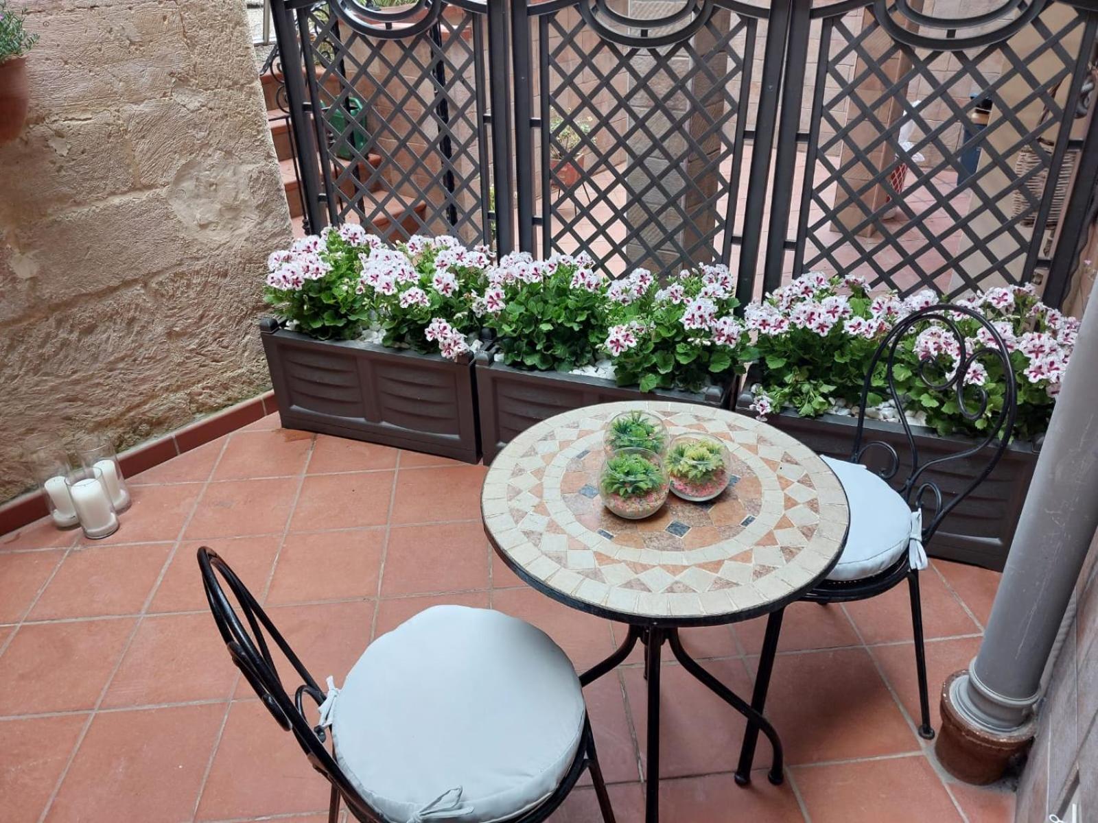 balance & terrace