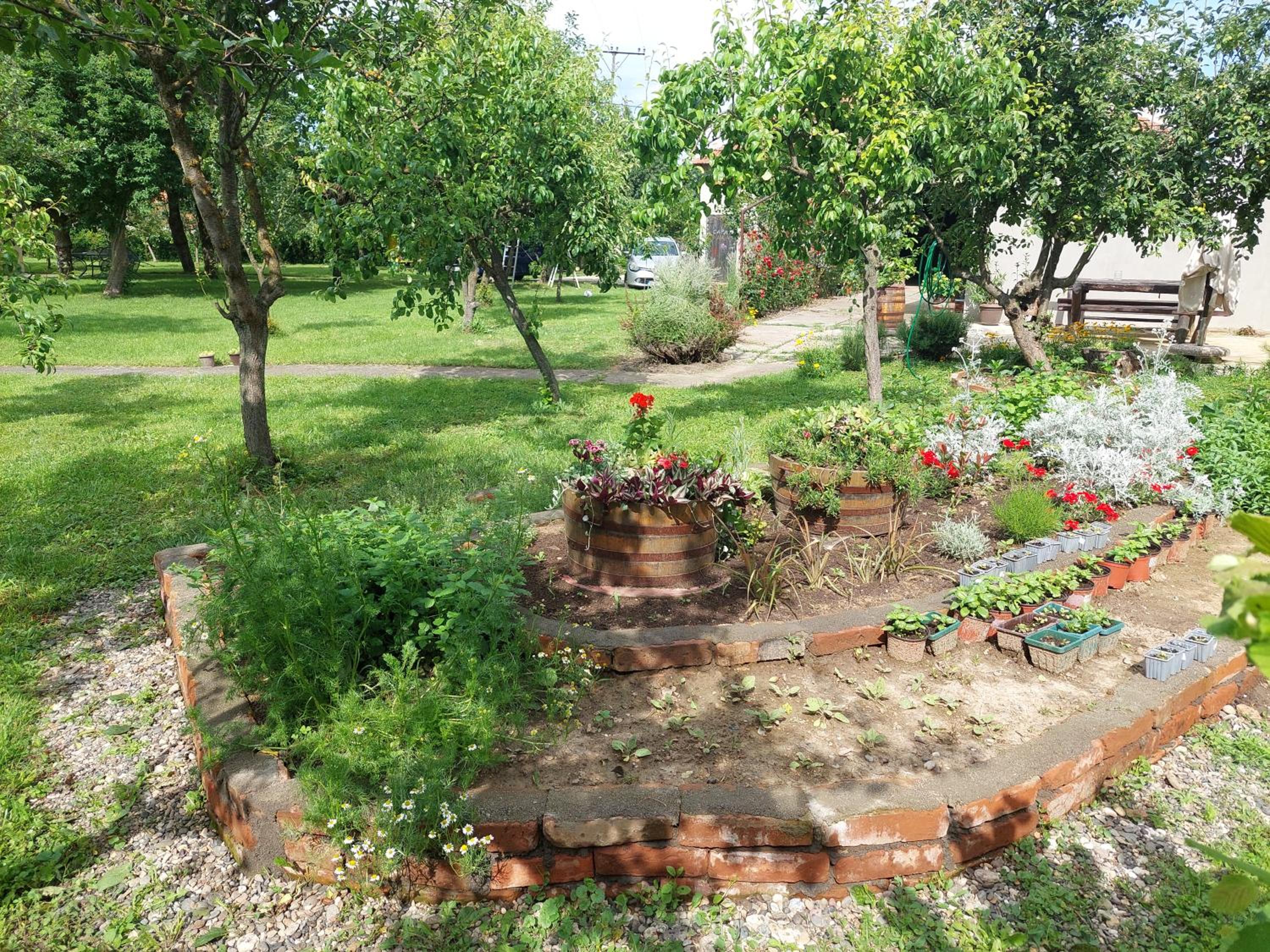 Photo 6