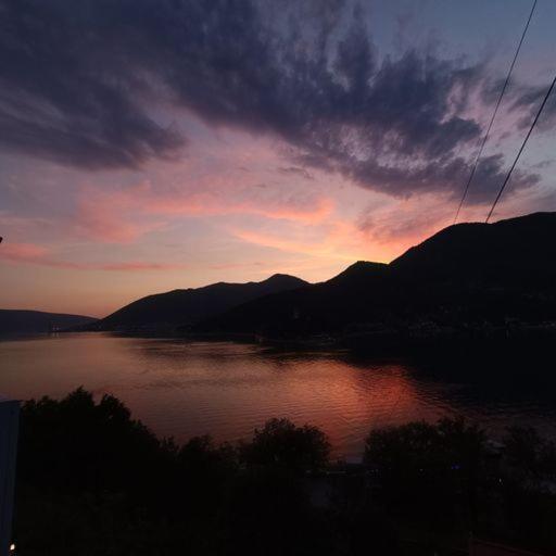 Cozy Apartment Tivat