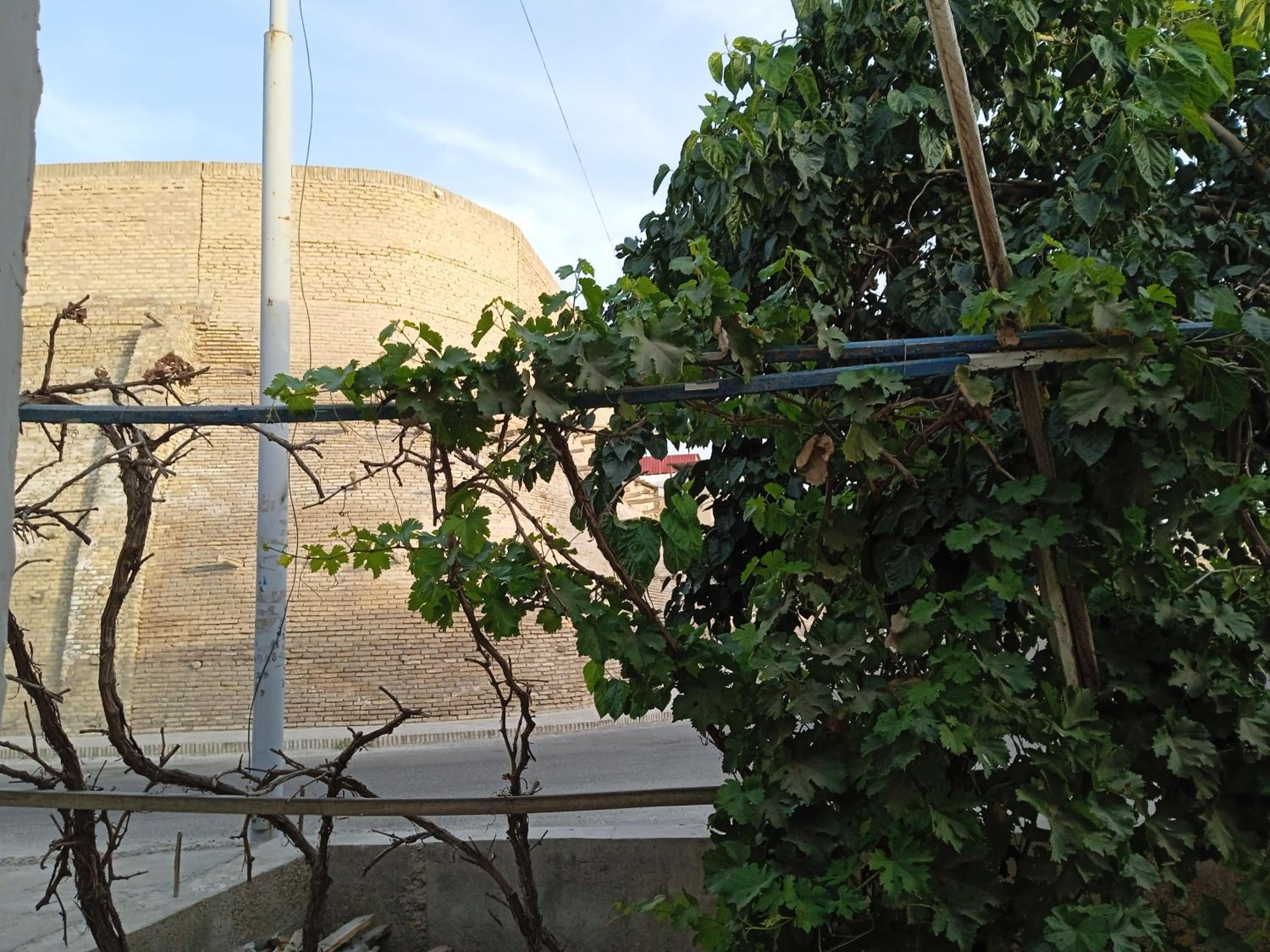 Photo 14