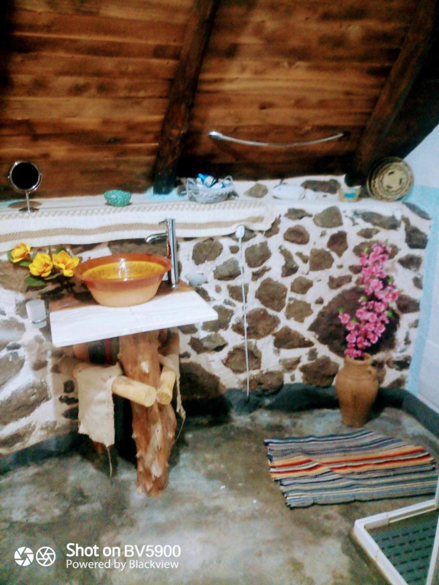 Photo 102
