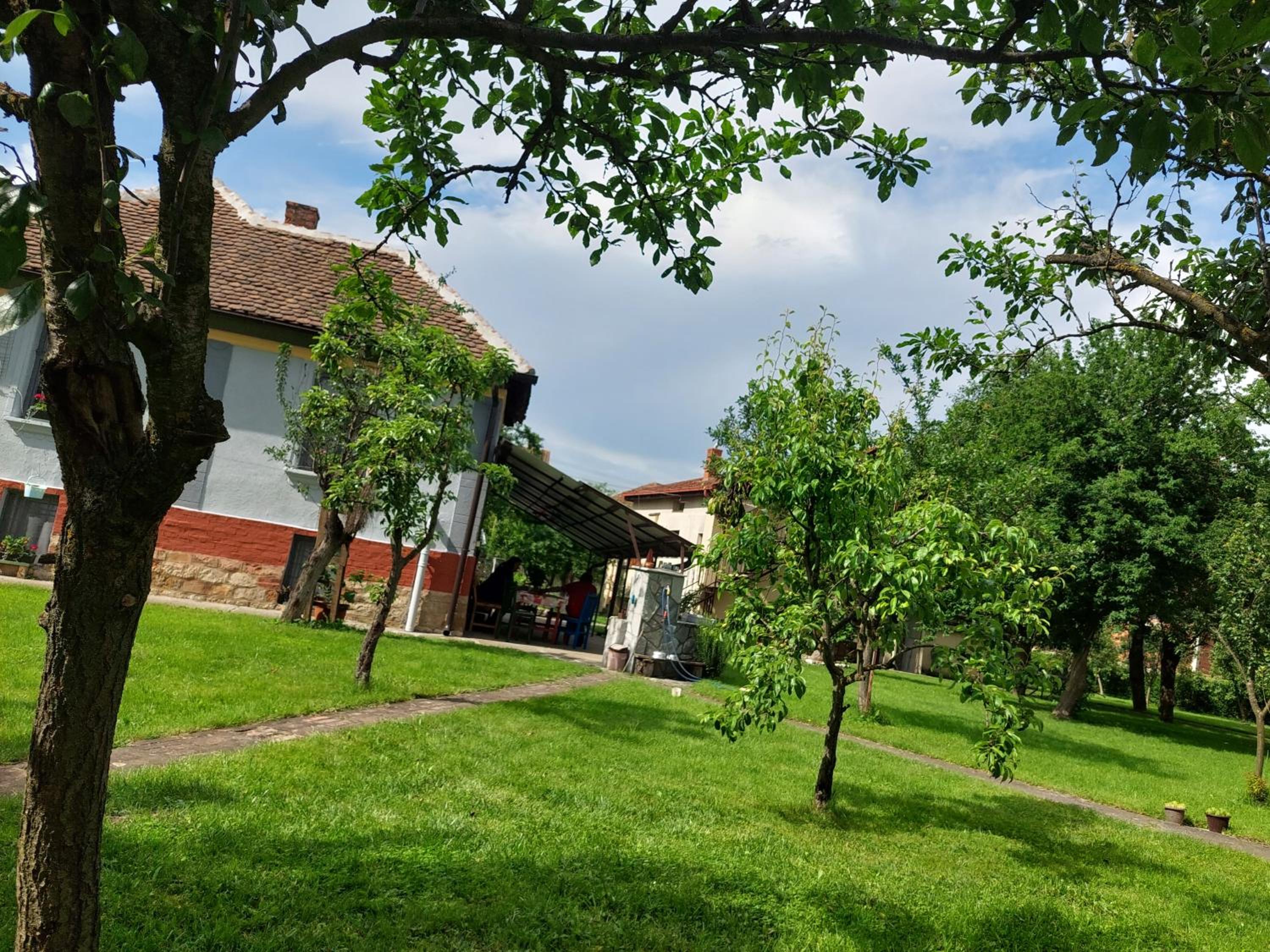 Photo 16