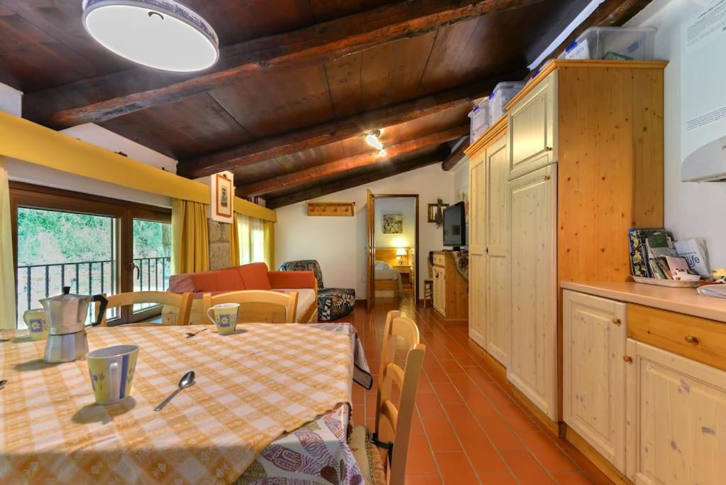 38-Volpini House In Amiata - Val d'Orcia, Saturnia, Feste&Sagre view 2
