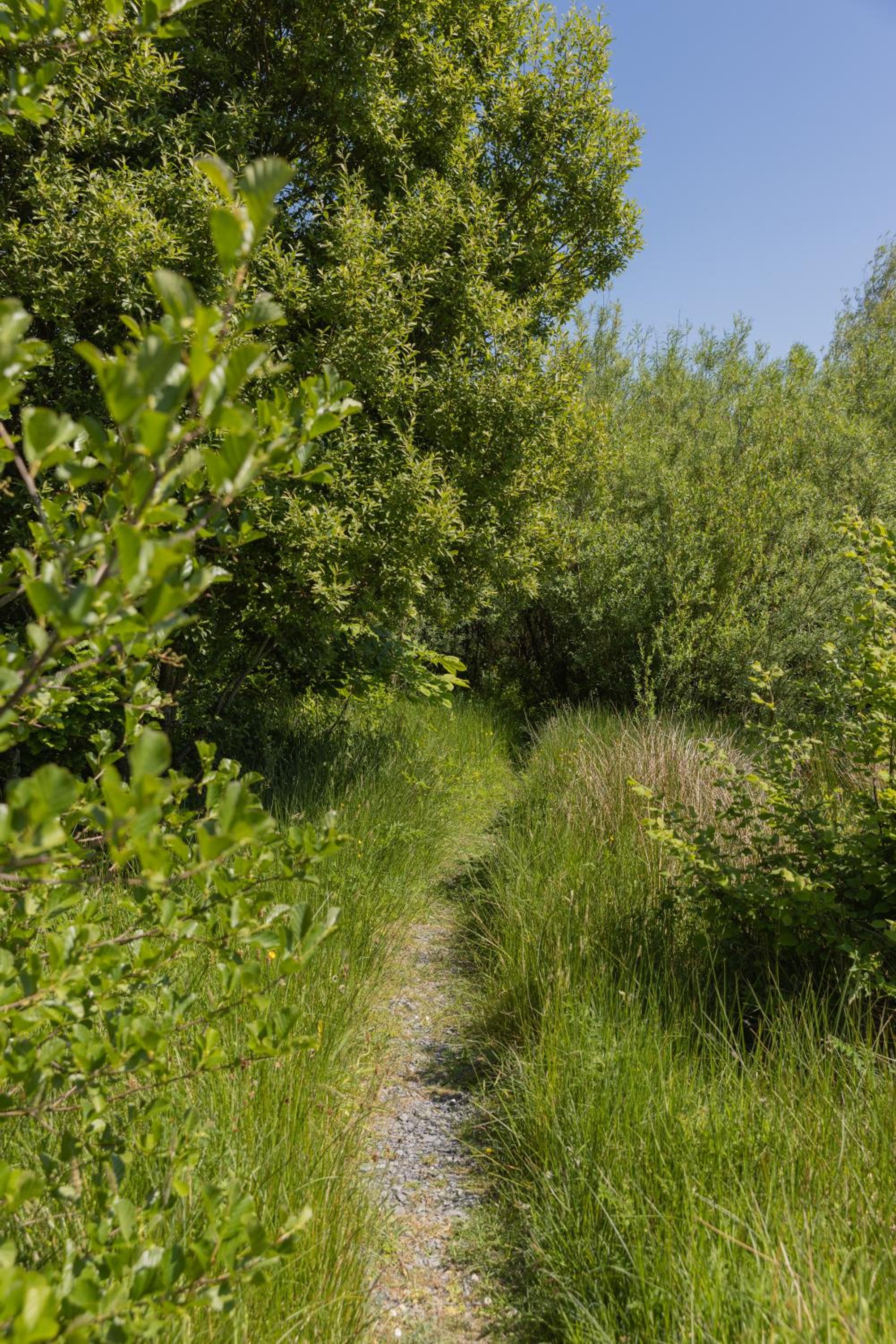Photo 42