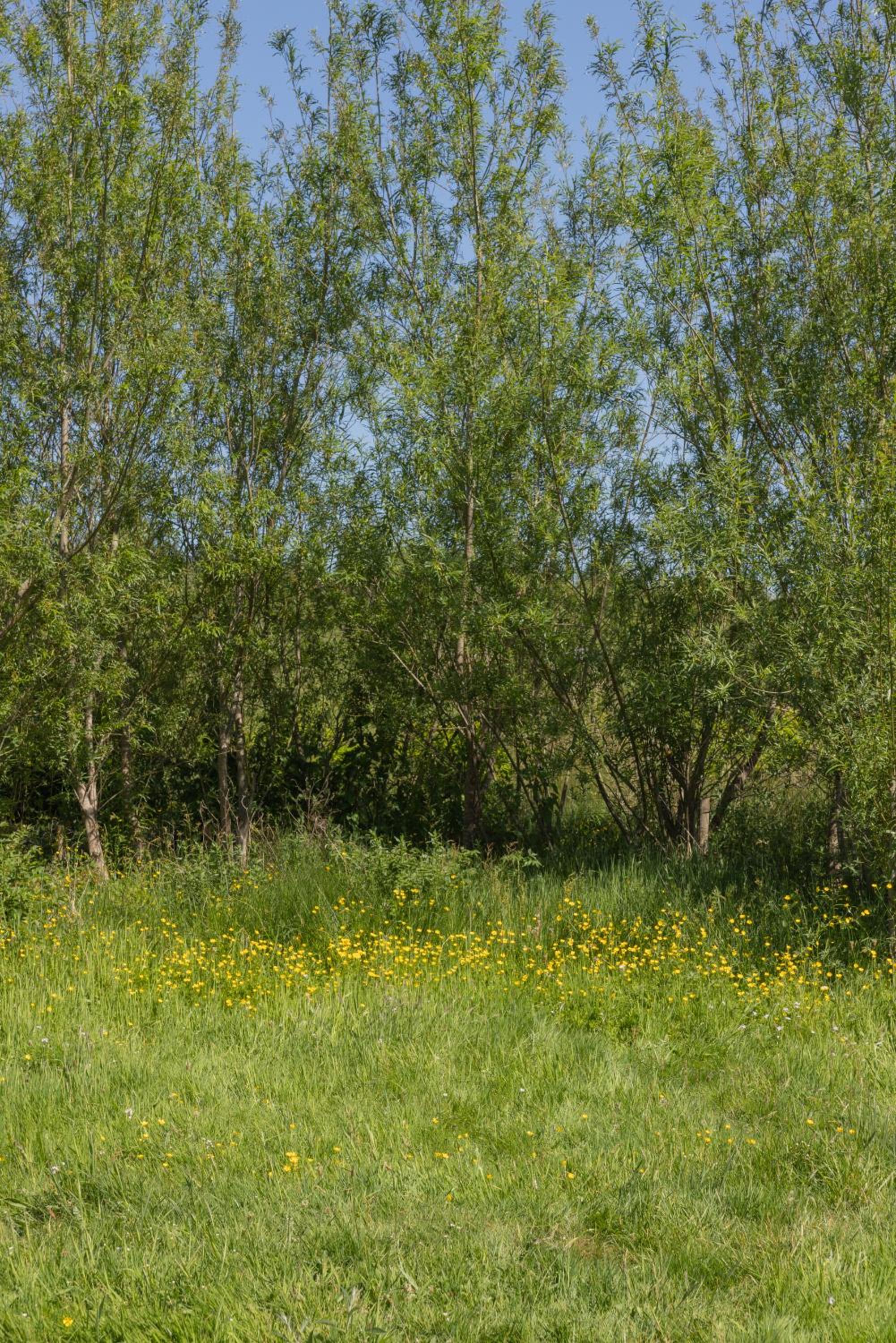Photo 34