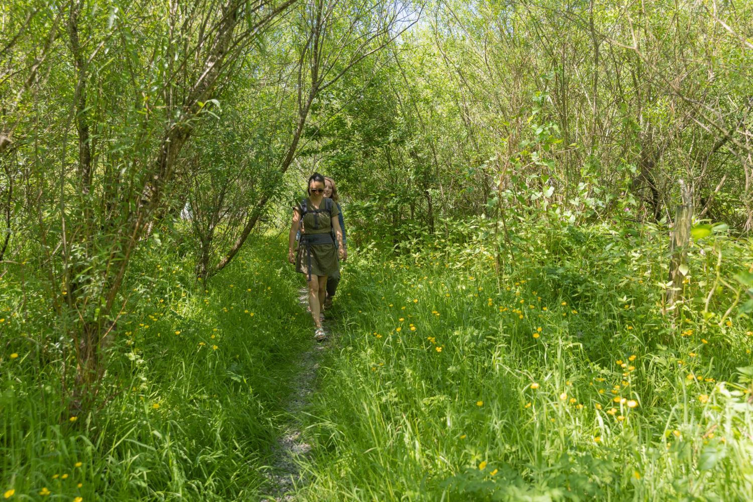 Photo 40