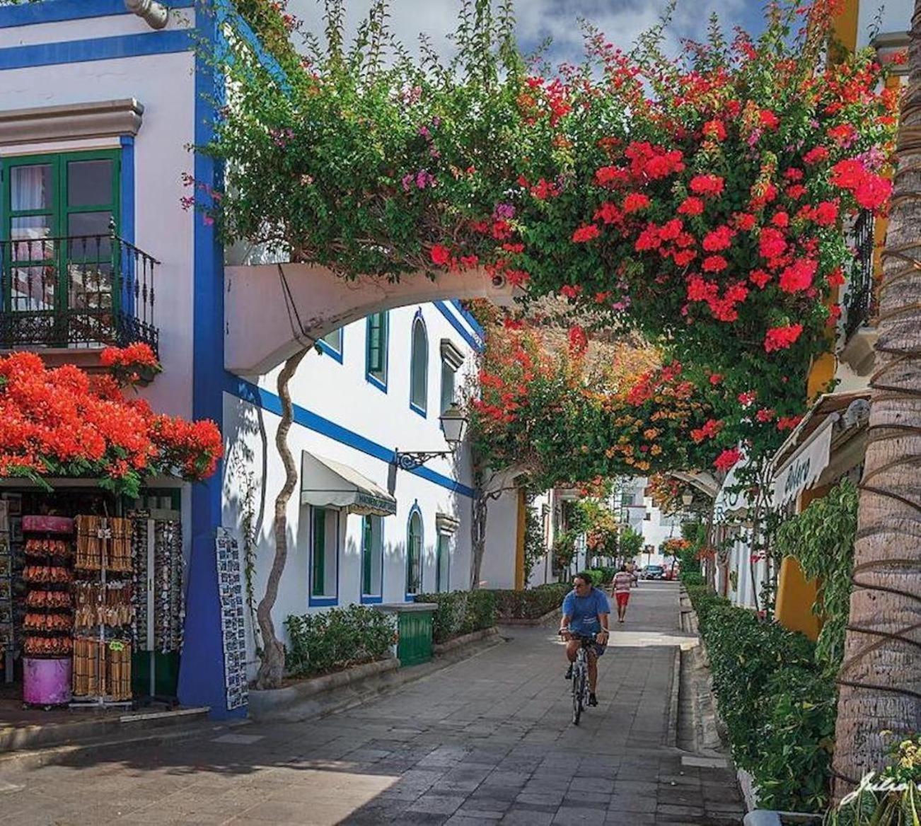 Sunny Puerto de Mogan