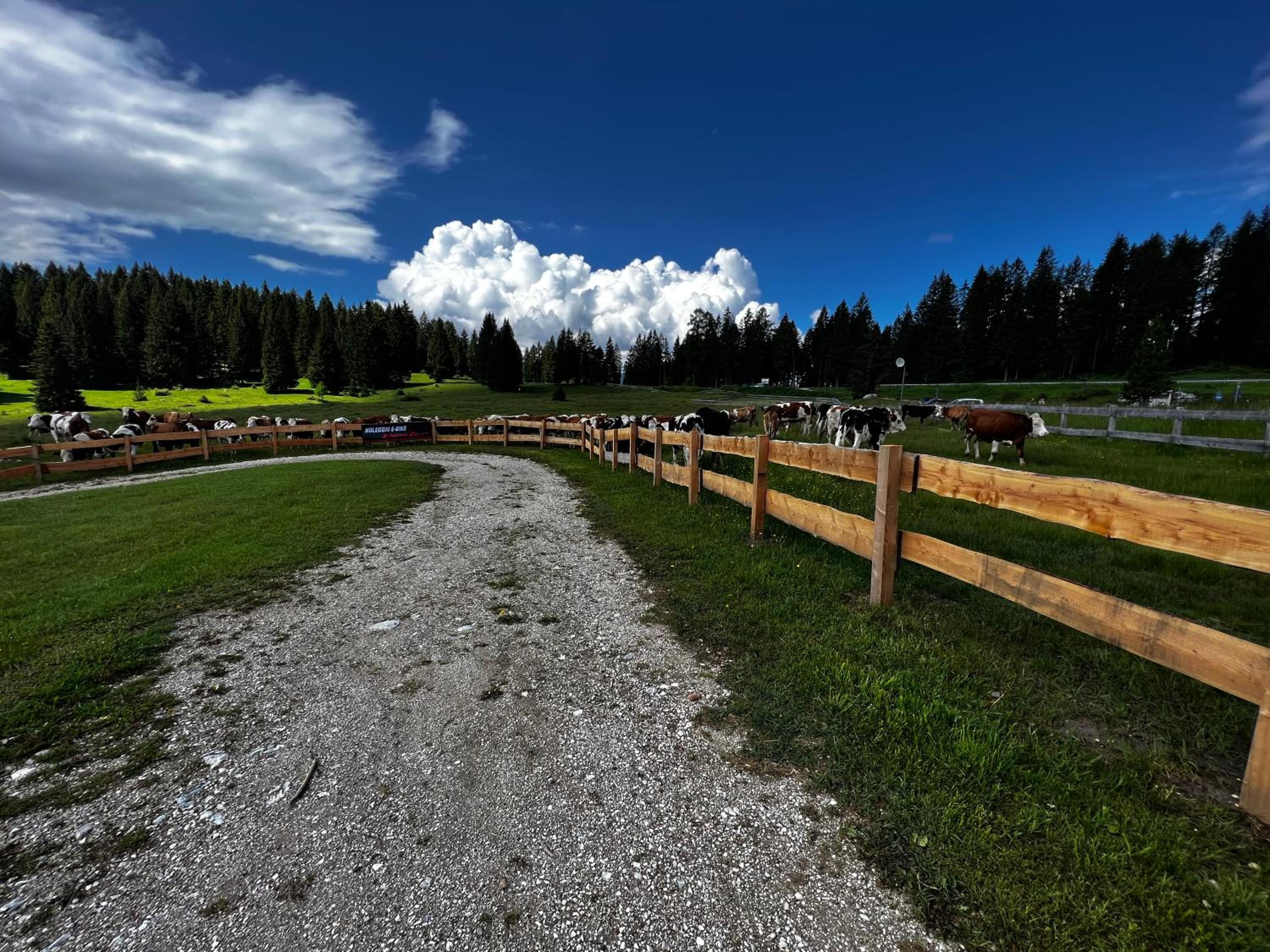 Malga Millegrobbe Nordic Resort