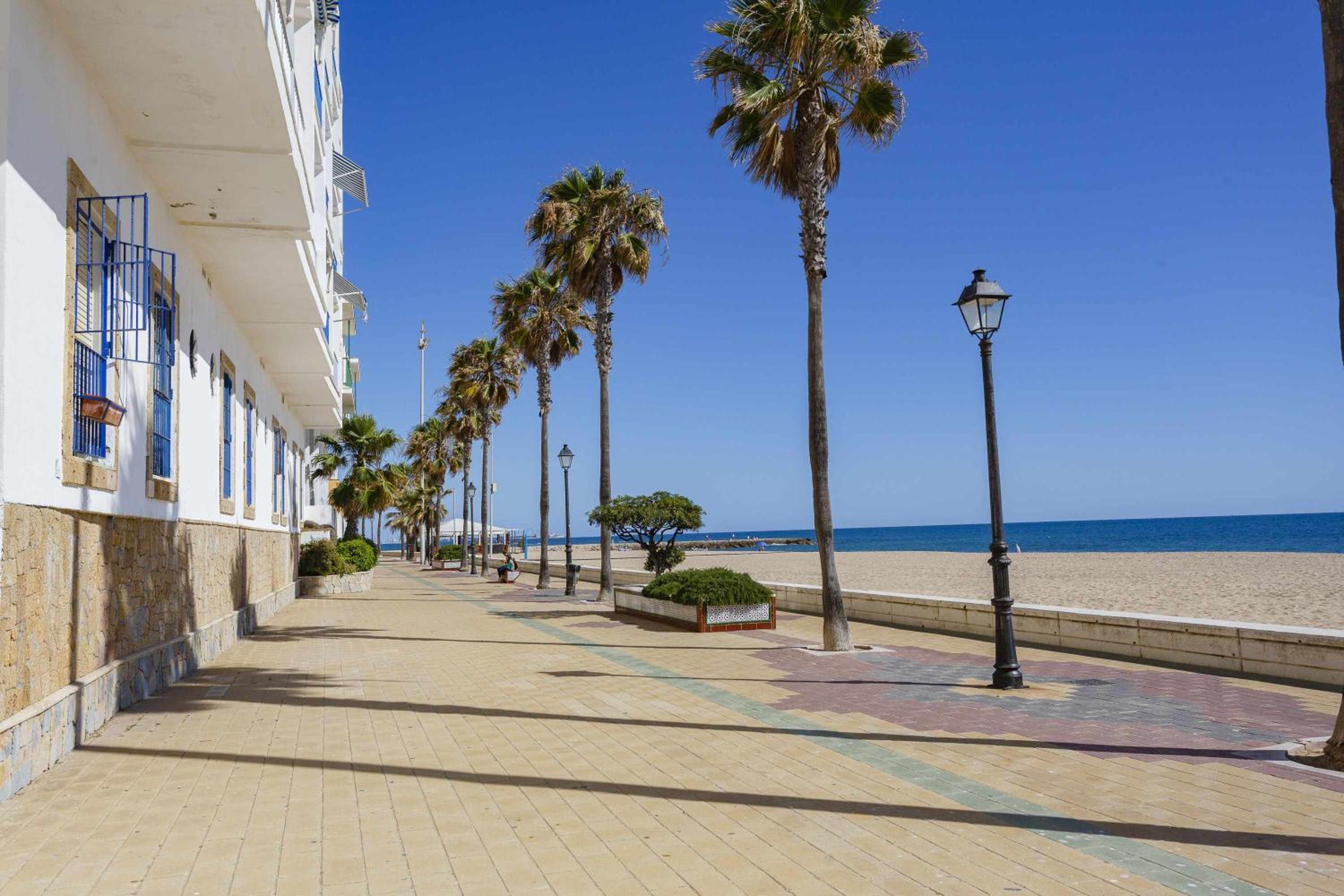 Terraza de san rafael