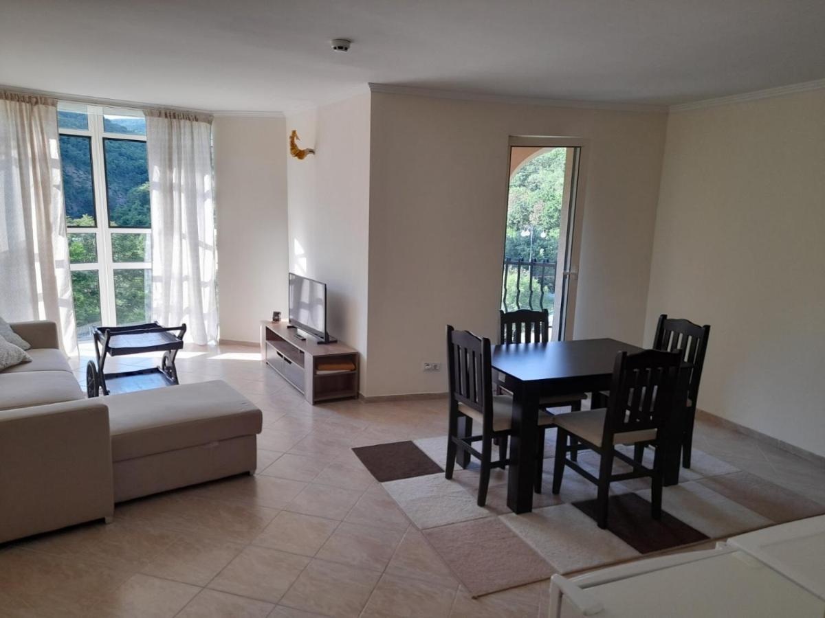 Negresko Family Apartment view 2