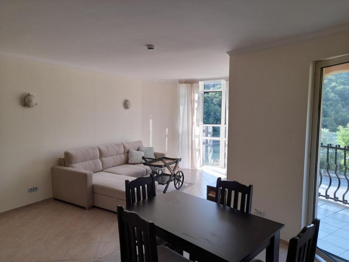 Negresko Family Apartment view 3