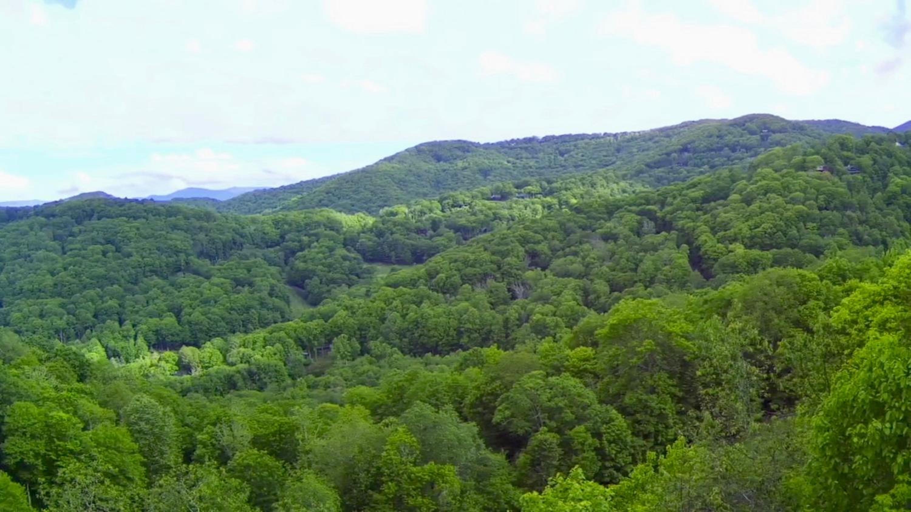 Timber Ridge Retreat