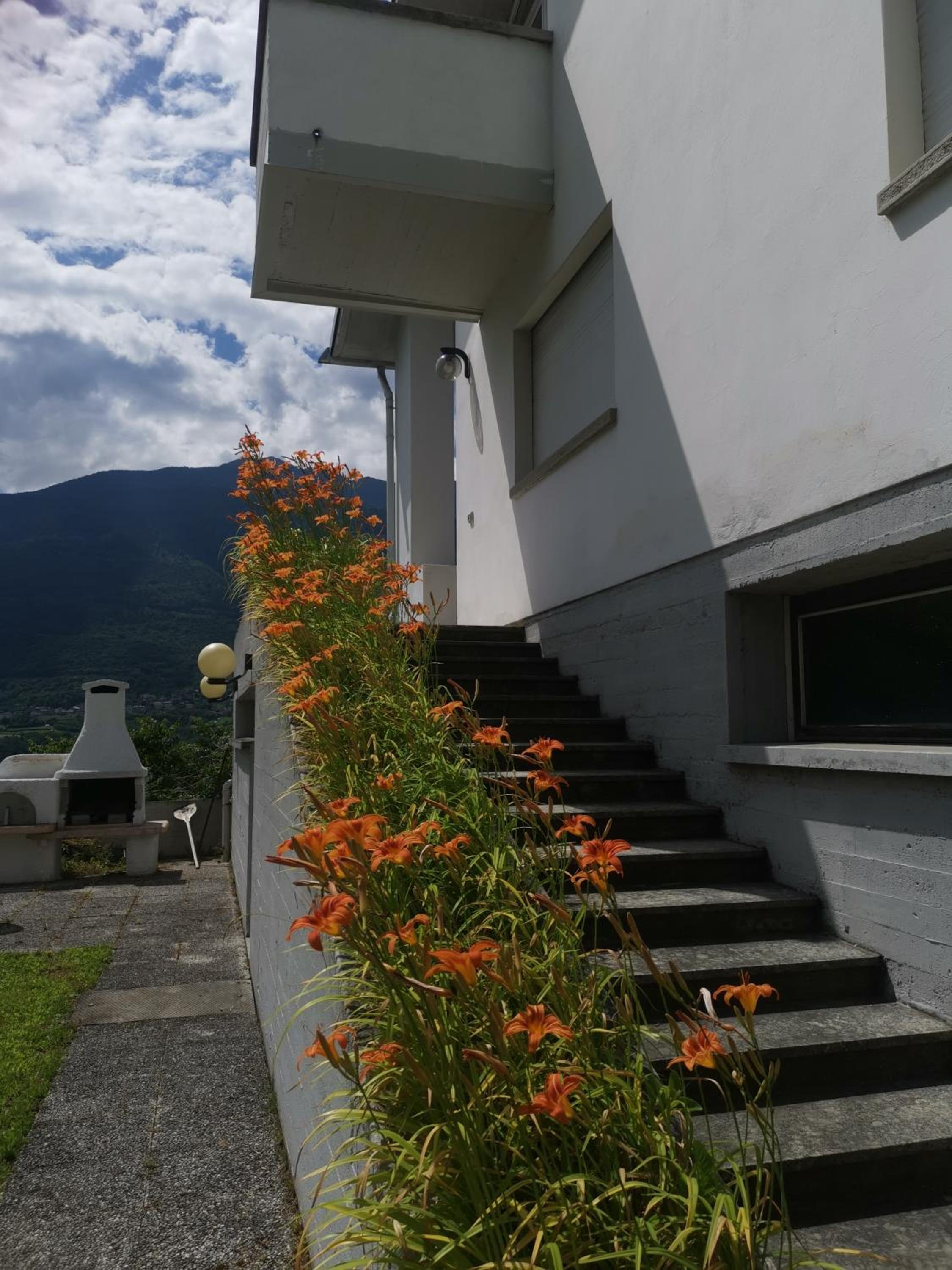 Photo 33