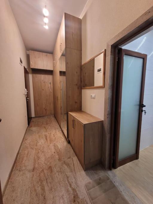 Luxury apartment Sofia top centre