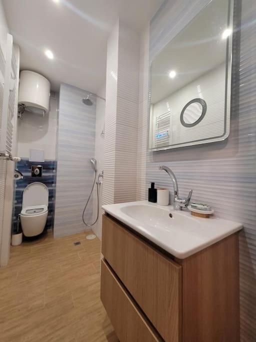 Luxury apartment Sofia top centre