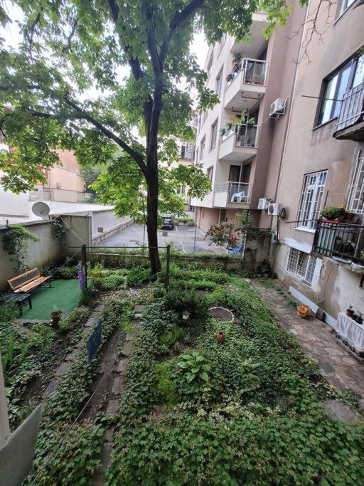 Luxury apartment Sofia top centre