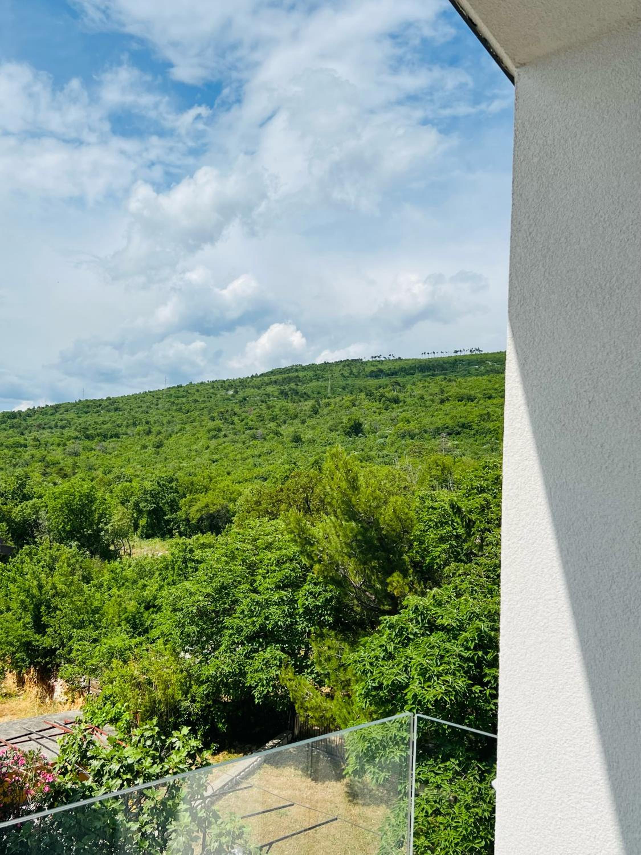 Apartmani AViS