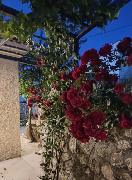 Villa Aiolia