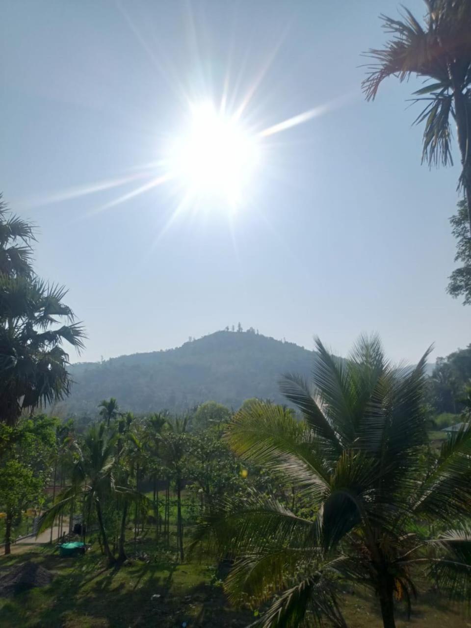 PADAVAYAL GREENS