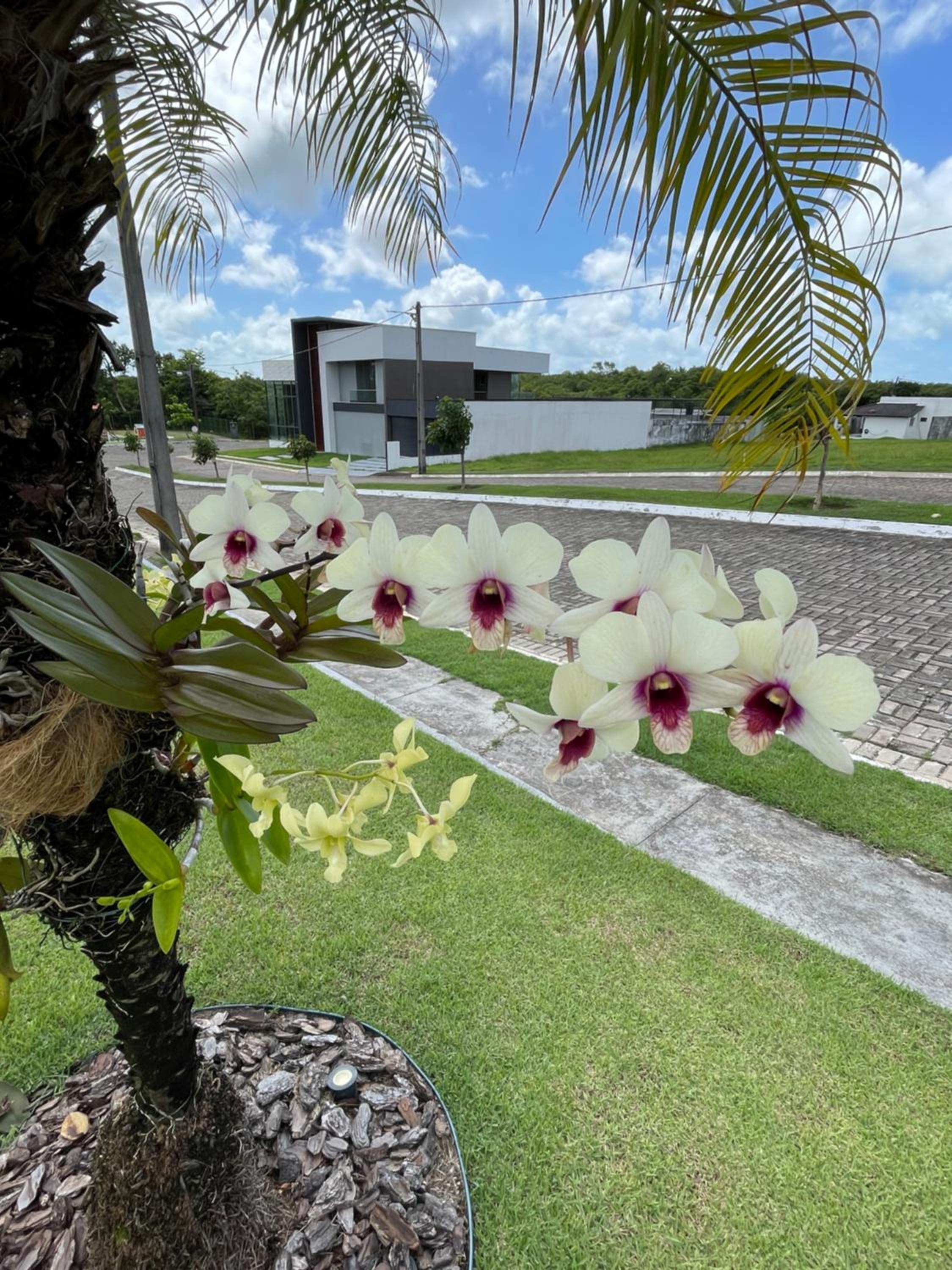 Casa Salinópolis Condomínio Raízes Marina Residence