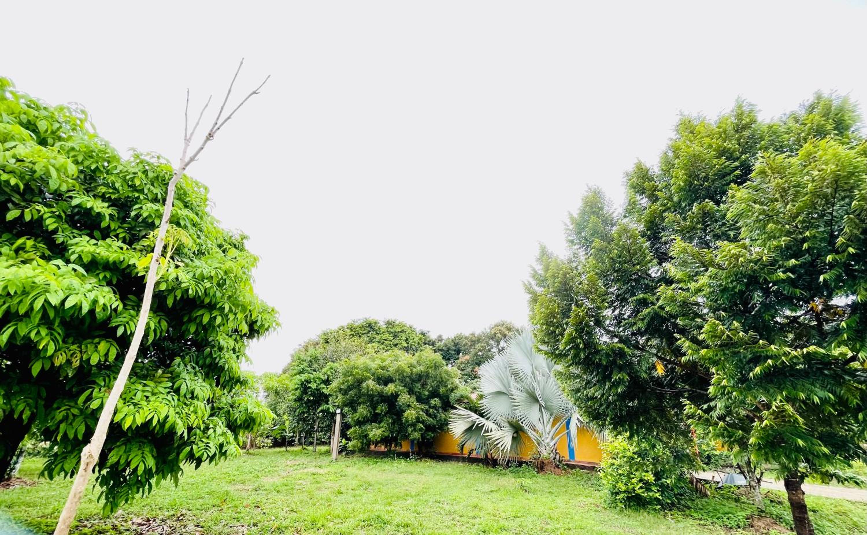 Alojamiento campestre San Miguel