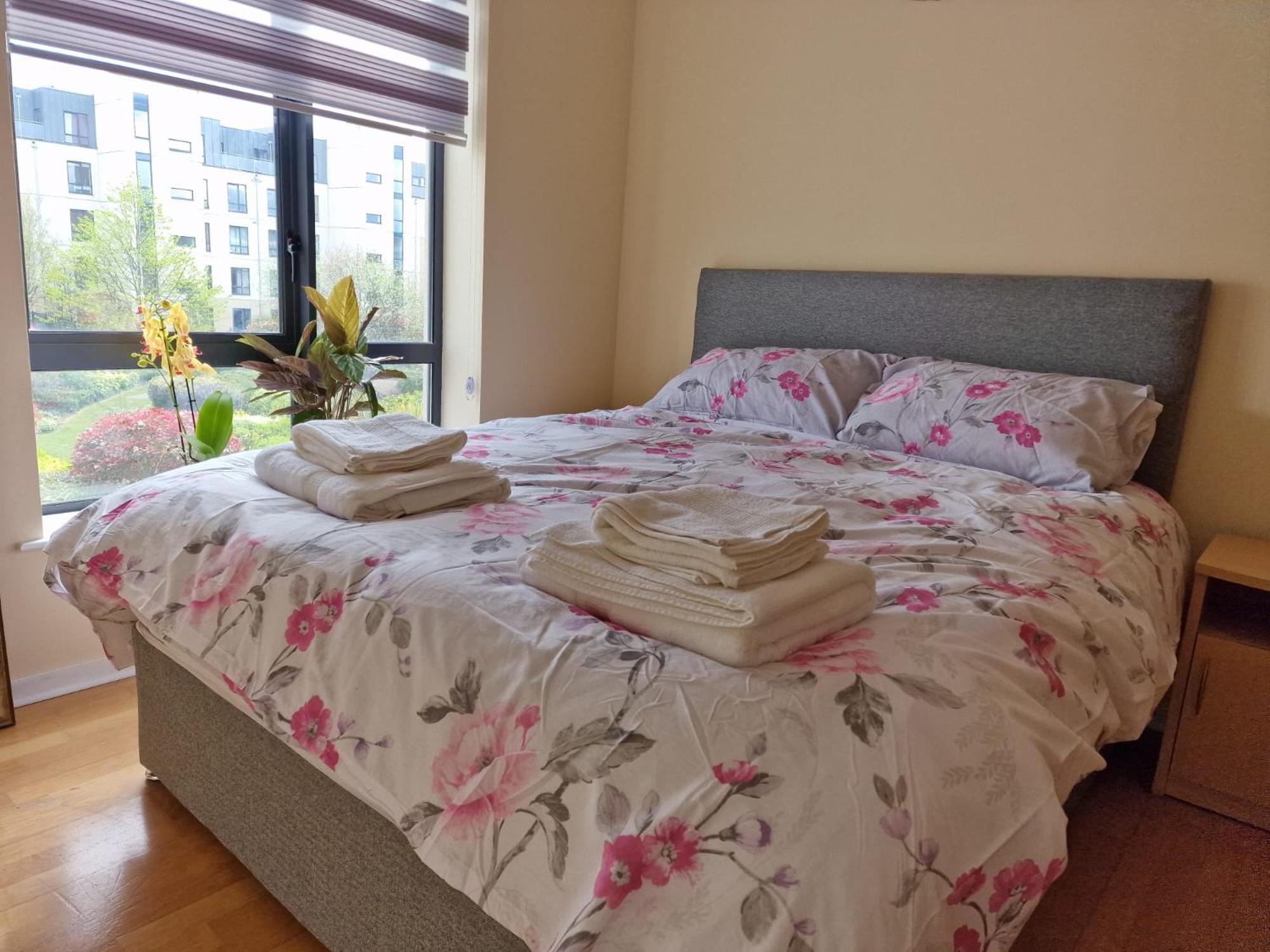 Clearwater Apartment