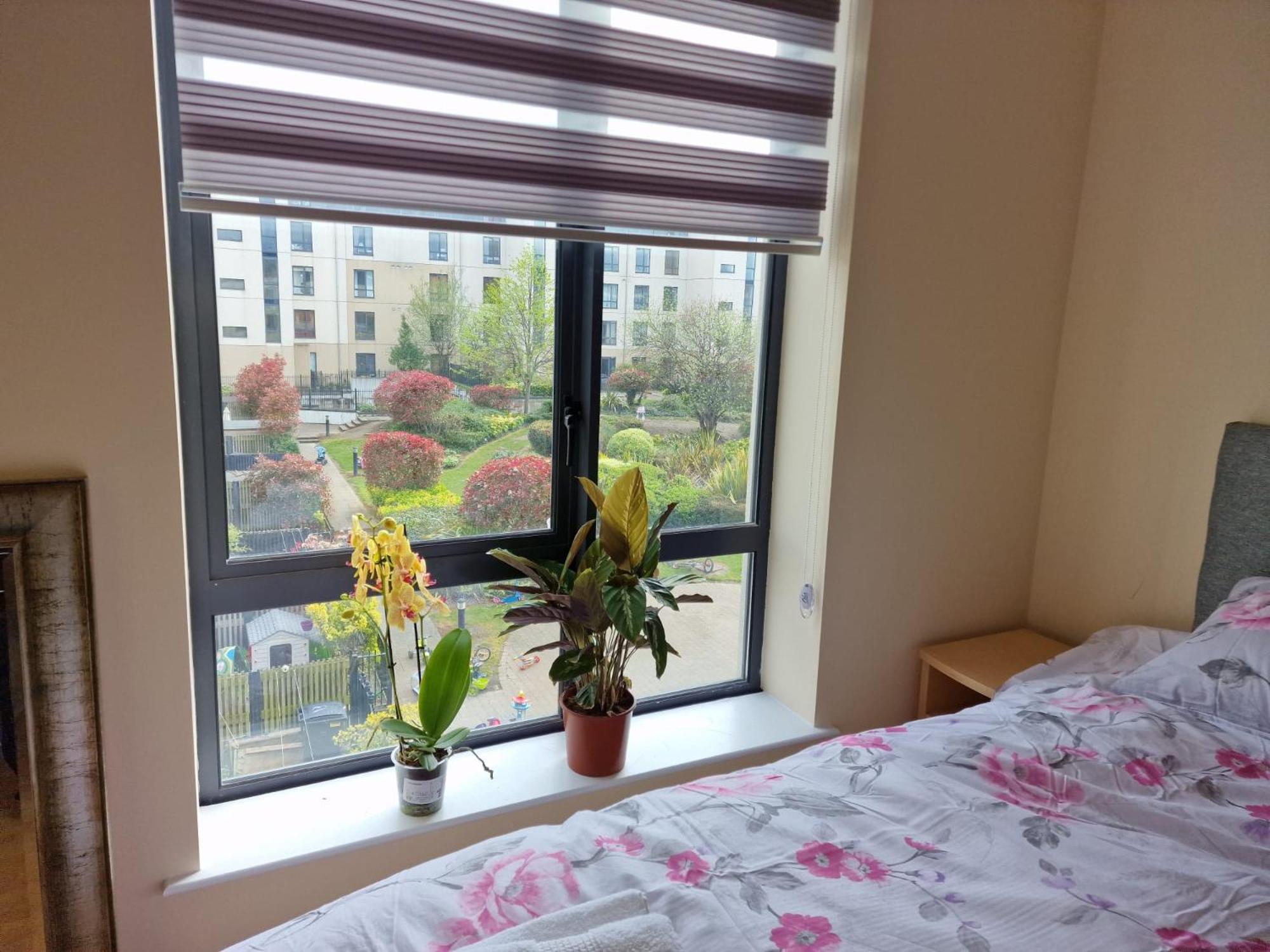 Clearwater Apartment