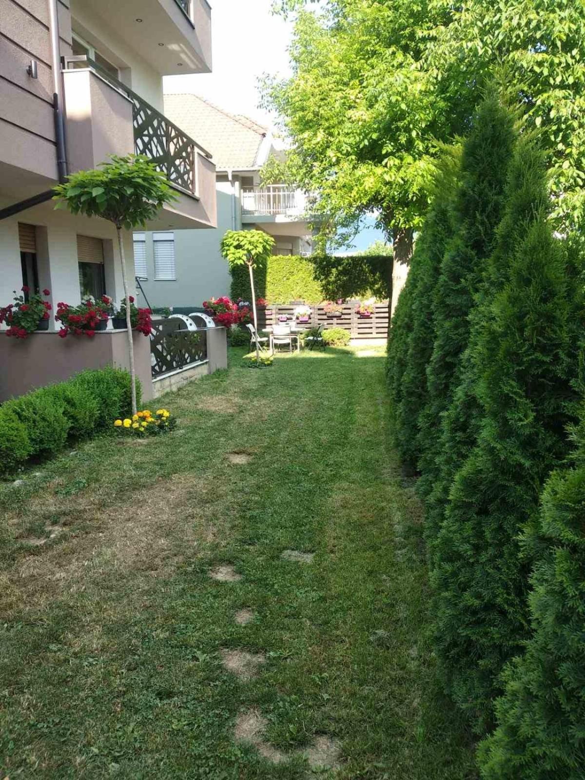 Photo 31