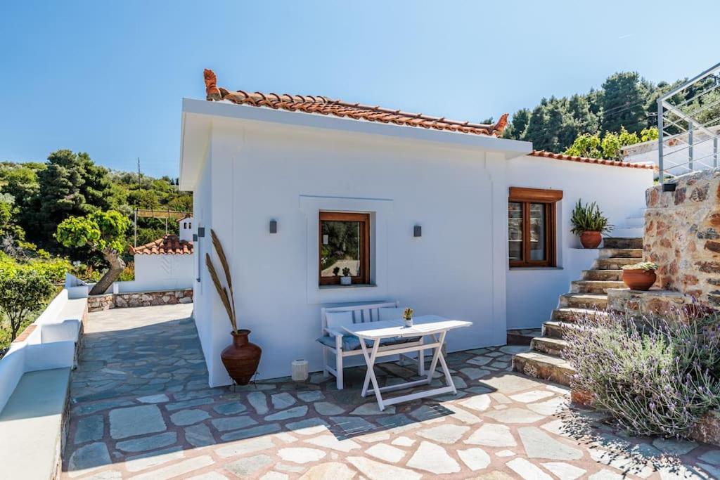 Villa Koukounaria