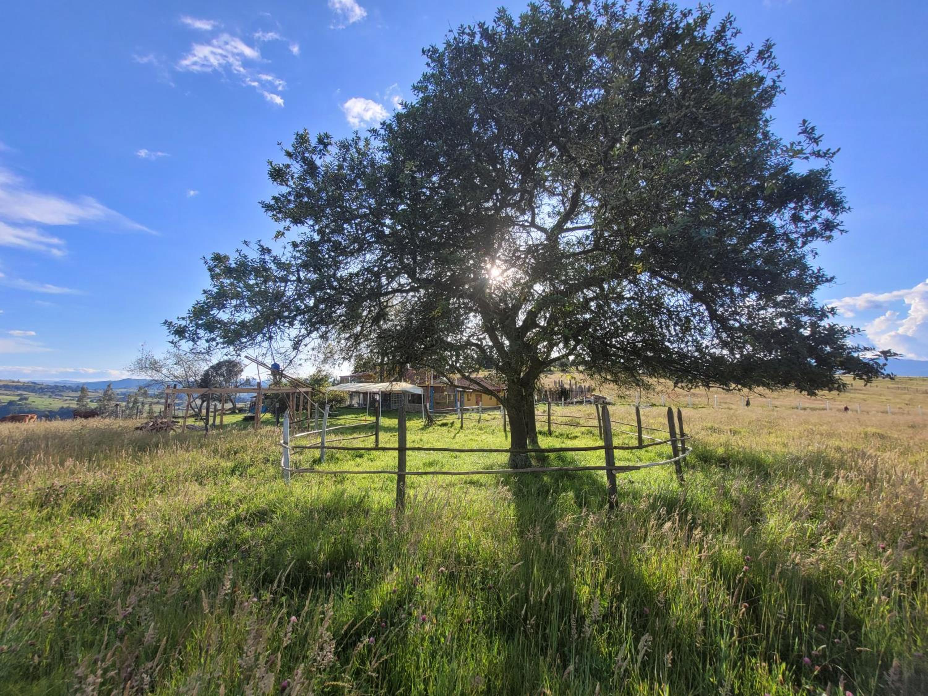 Finca La Aurora