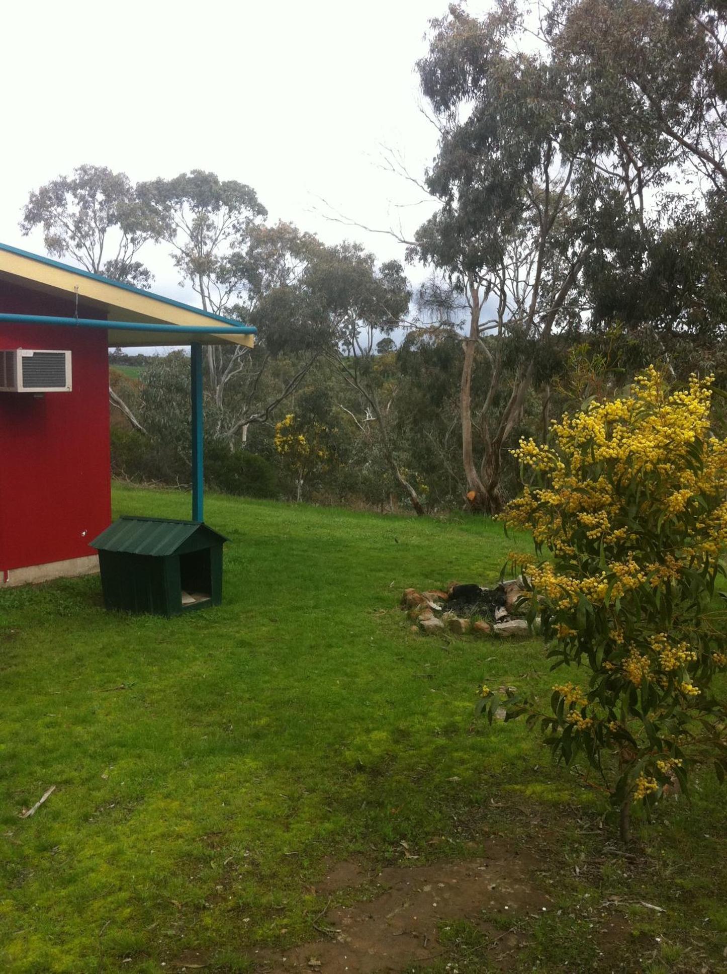 Photo 34