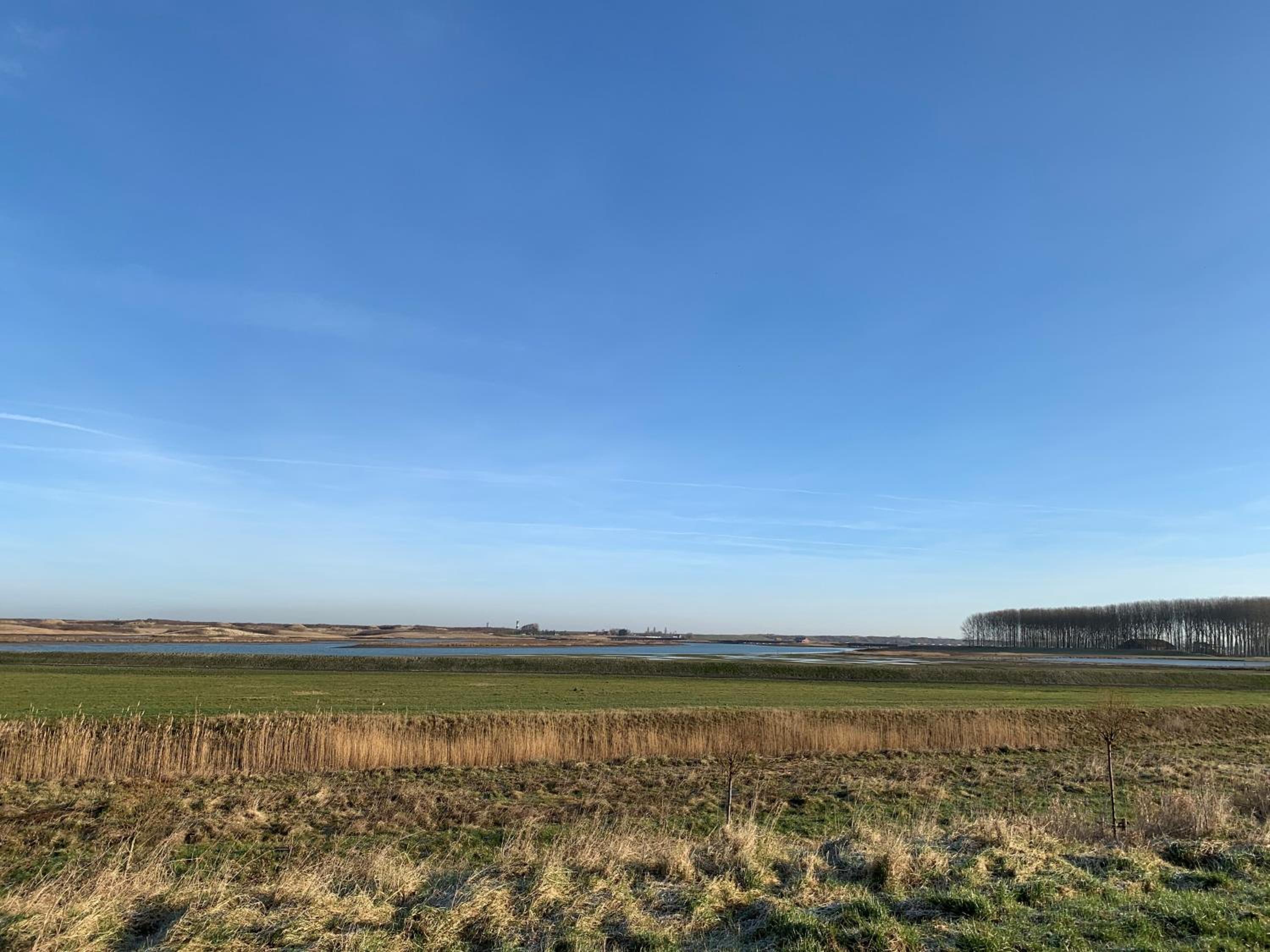 Kustverhuur, Groede, Paarlhof 53 view 5