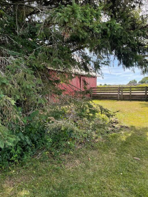The Barns of Brighton Near Prince Edward County