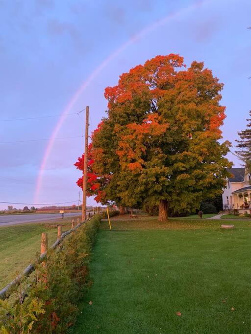The Barns of Brighton Near Prince Edward County