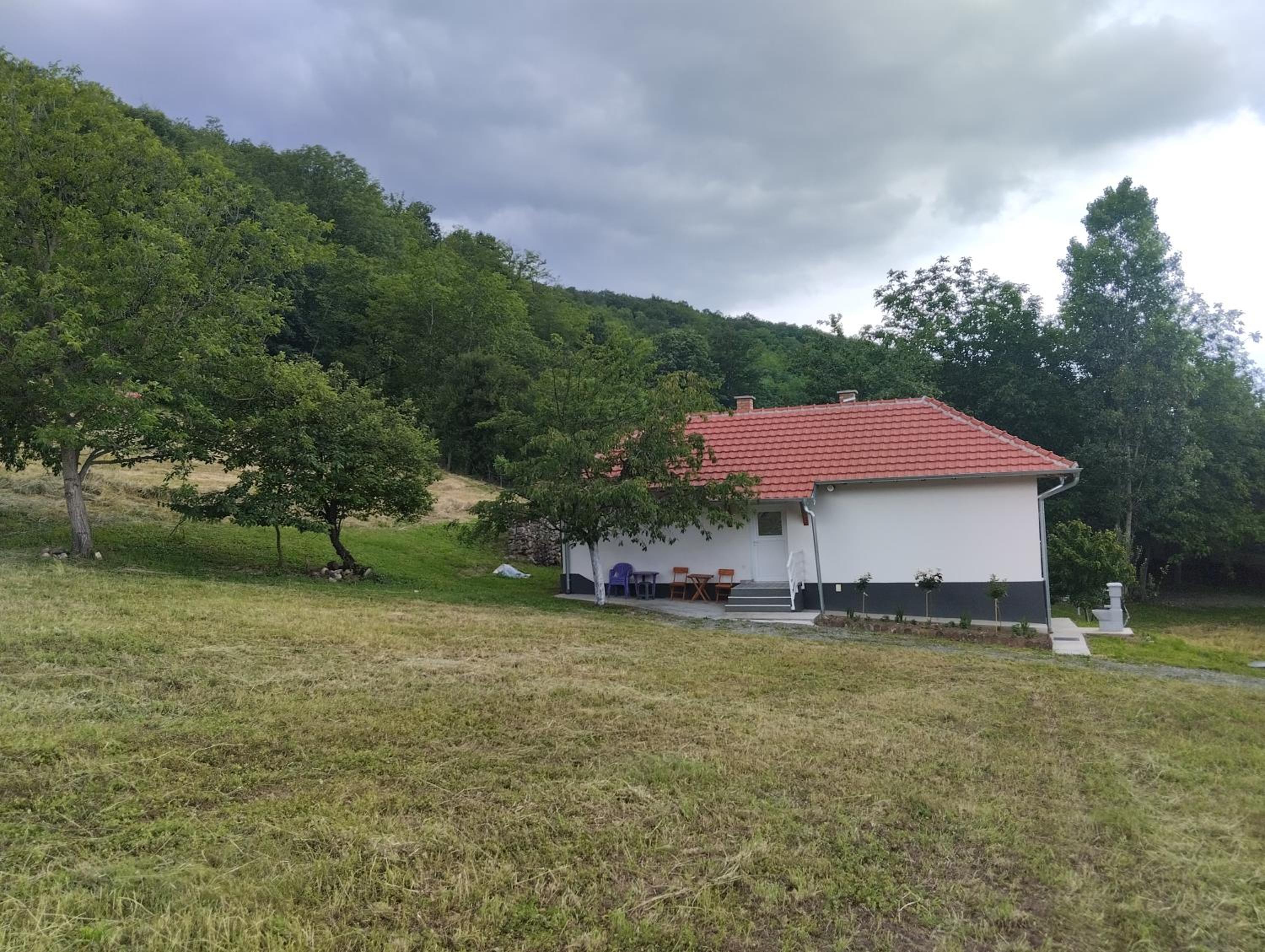 Vitovnicki Mir